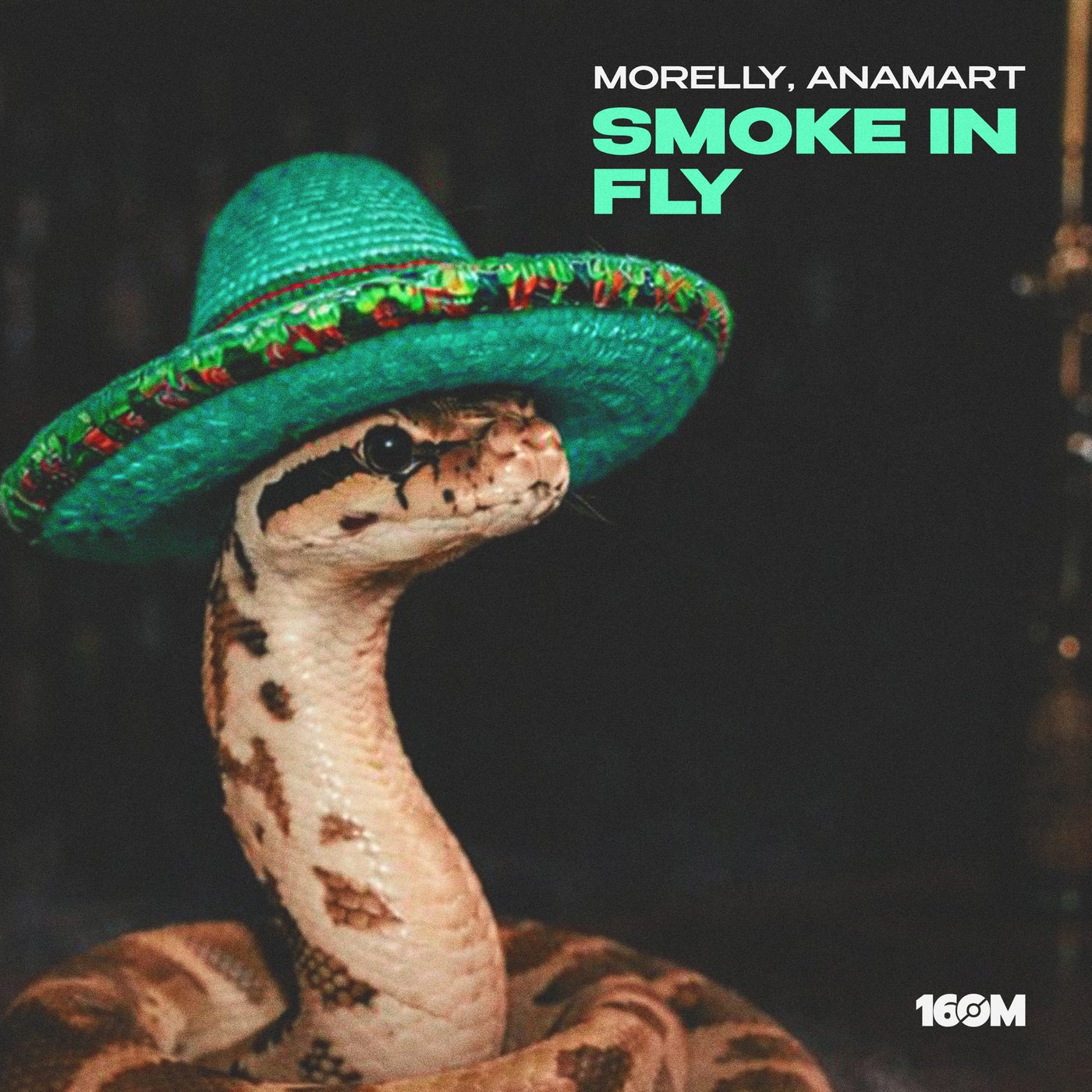 Cover - Morelly, Anamart - Smoke In Fly (Original Mix)