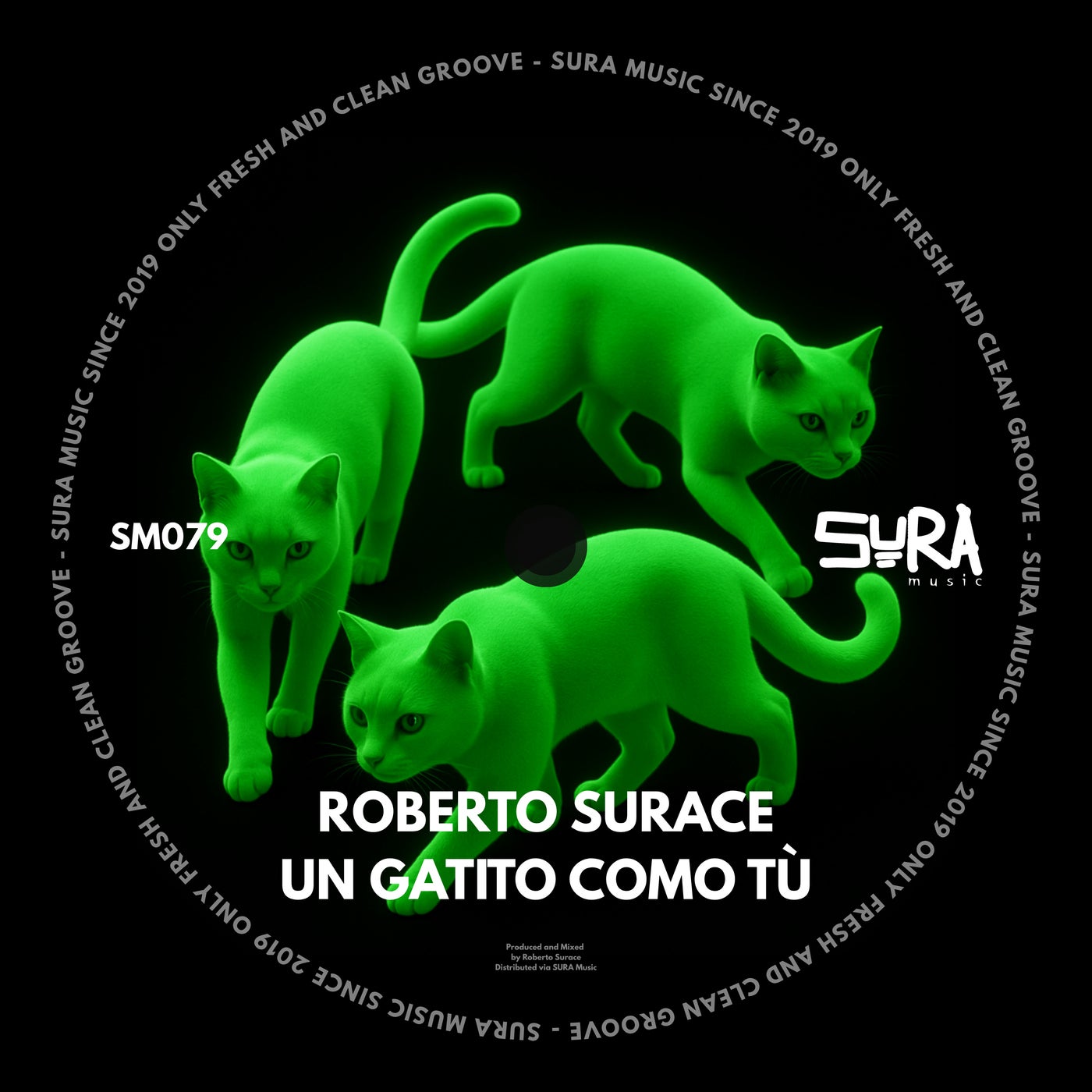 Cover - Roberto Surace - Un Gatito Como Tù (Original Mix)