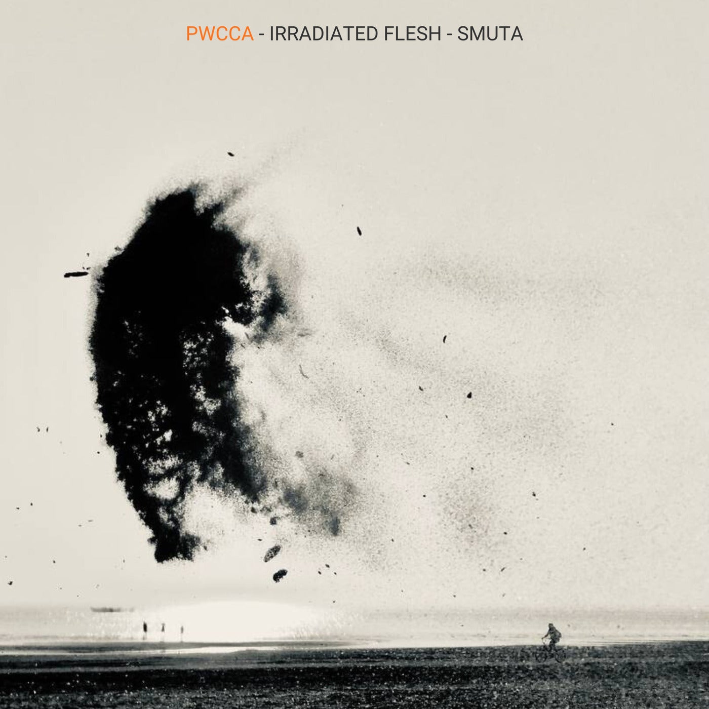 Cover - PWCCA - Torn spectrum (Original Mix)