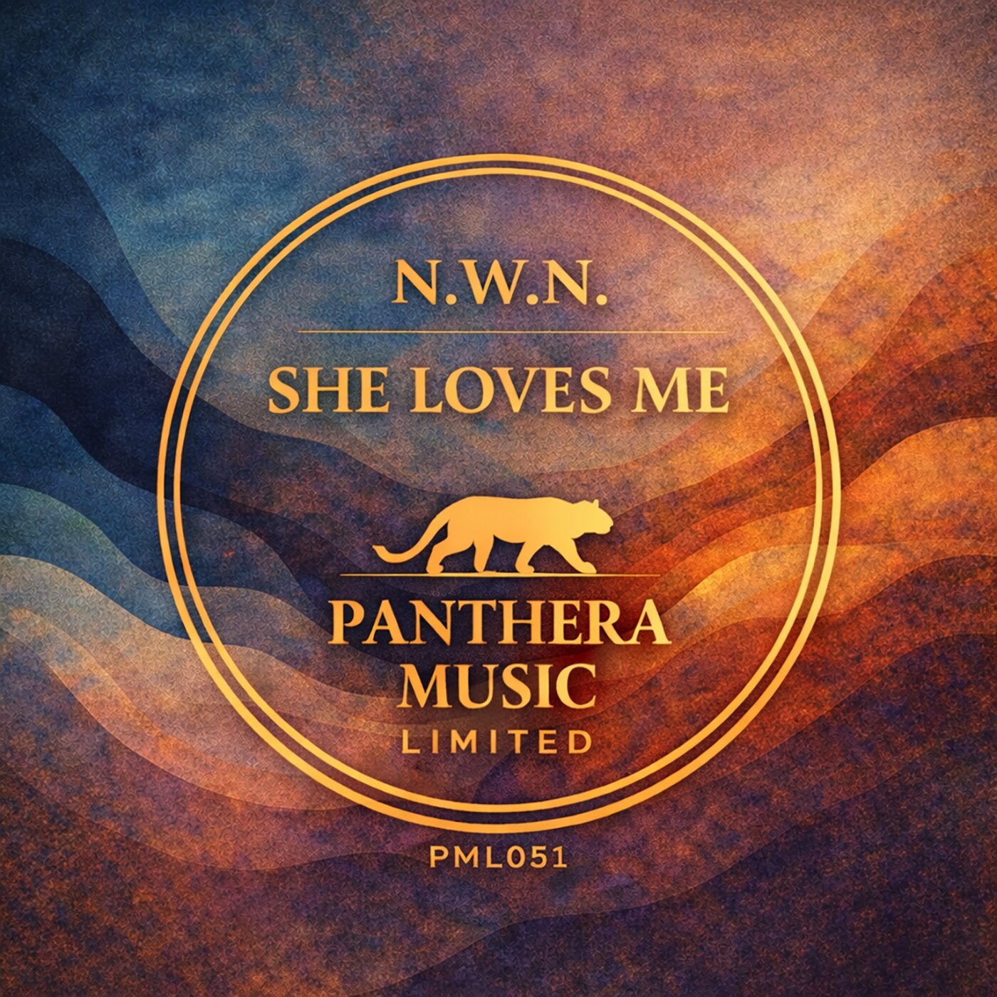 Cover - n.W.n. - She Loves Me (Original Mix)