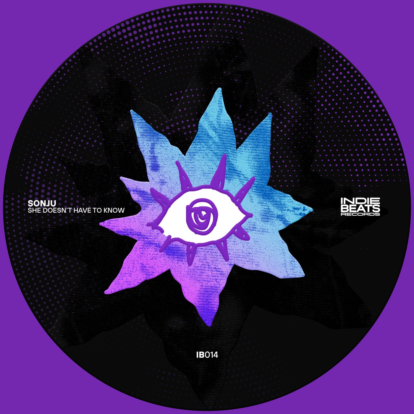 Cover - Sonju - She Doesn't Have to Know (Extended Mix)