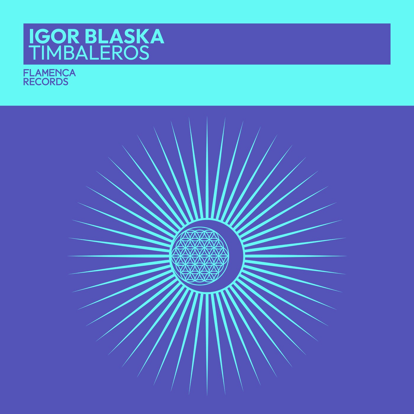 Cover - Igor Blaska - Timbaleros (Extended Mix)