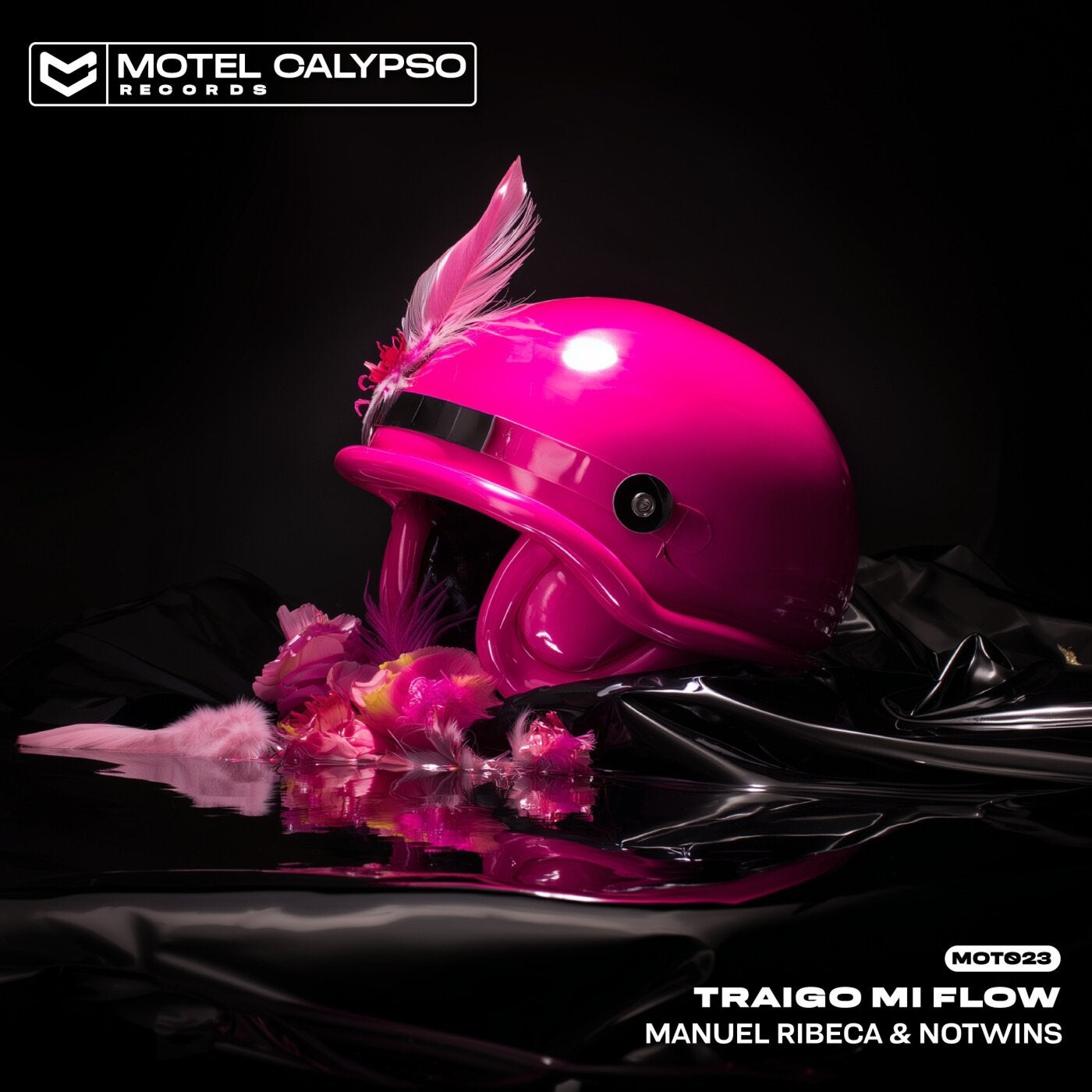 Cover - Manuel Ribeca, Notwins - Traigo Mi Flow (Original Mix) Promo tools