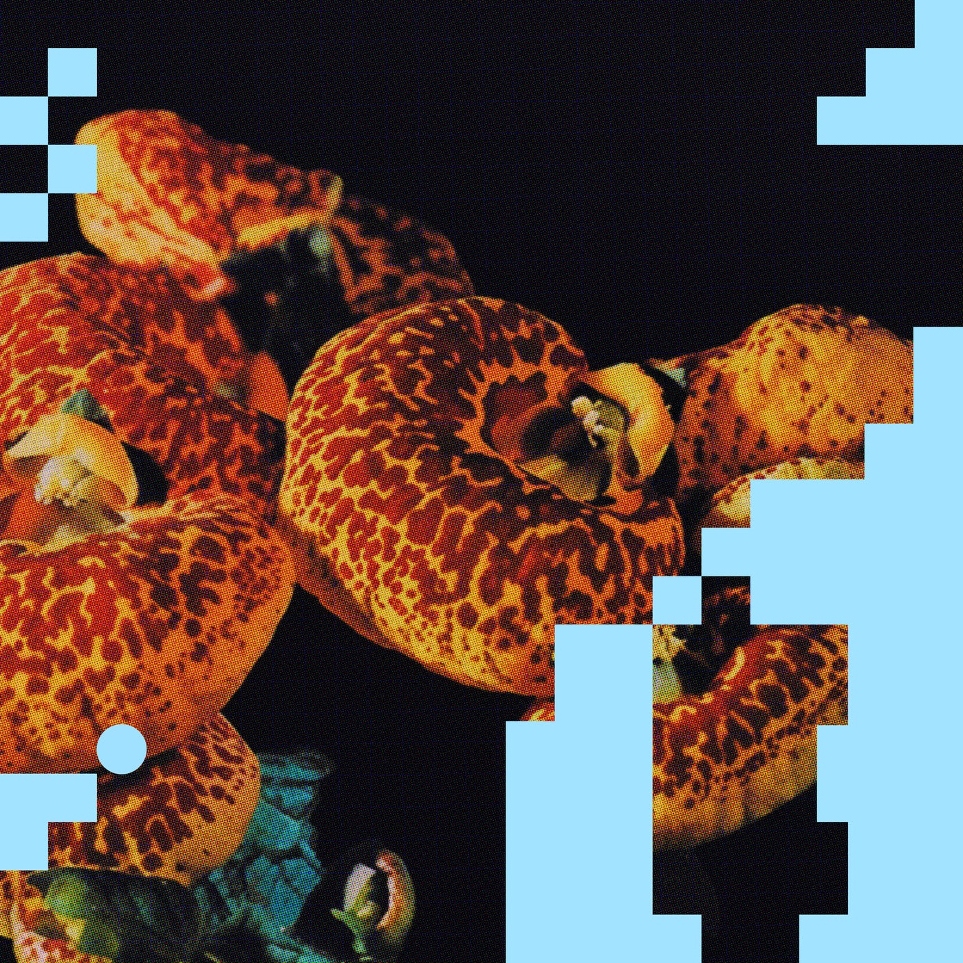 Cover - AFFKT - Mapa (Original Mix)