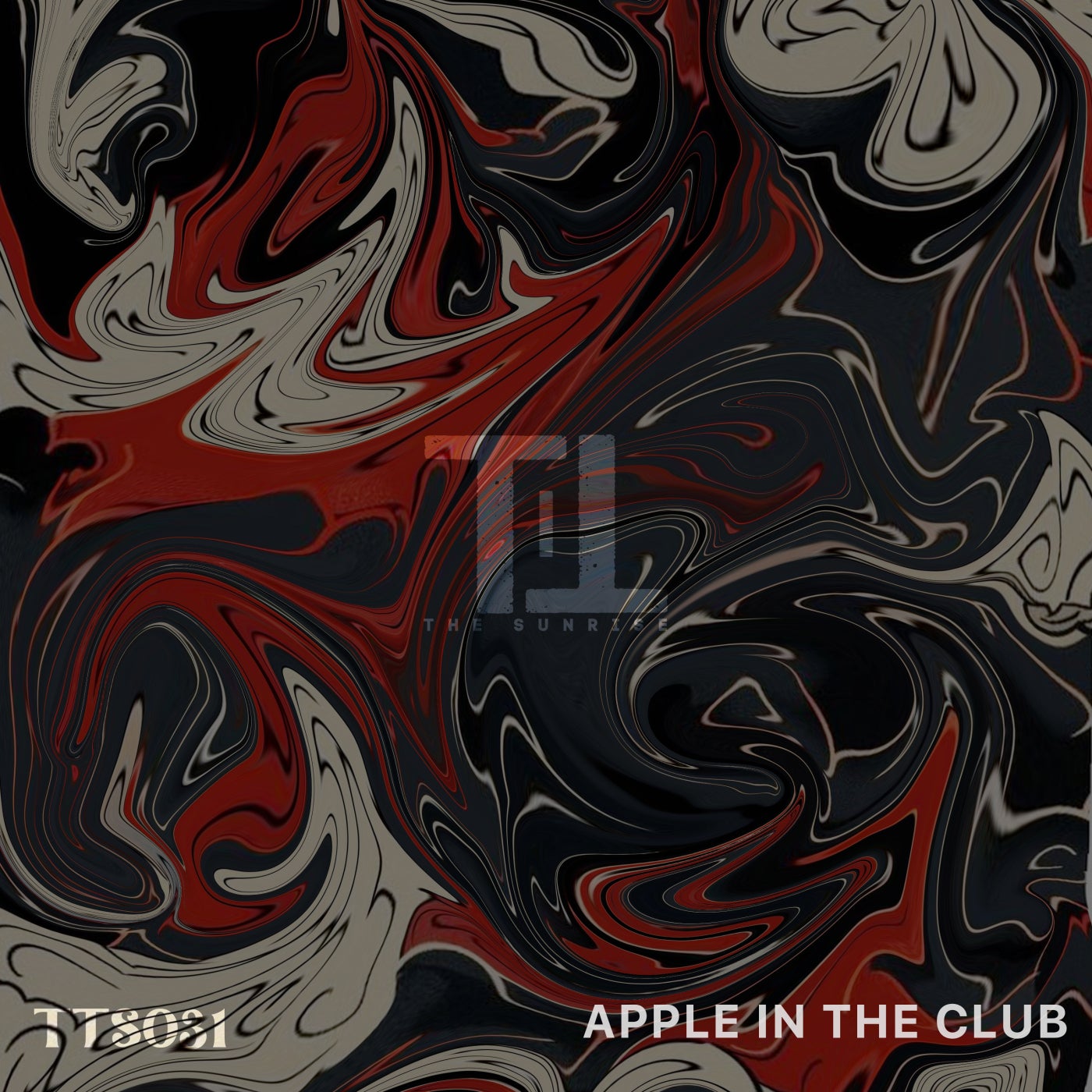 Cover - NOIYSE PROJECT - Apple in the Club (Original Mix)