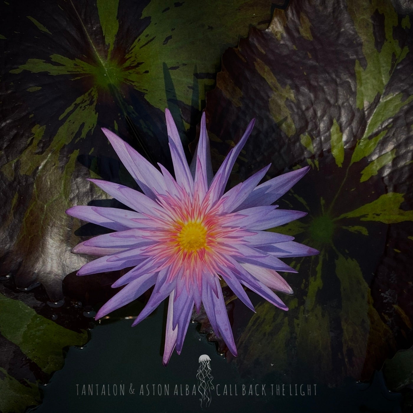 Cover - Aston Alba, Tantalon - Call Back the Light (Original Mix)