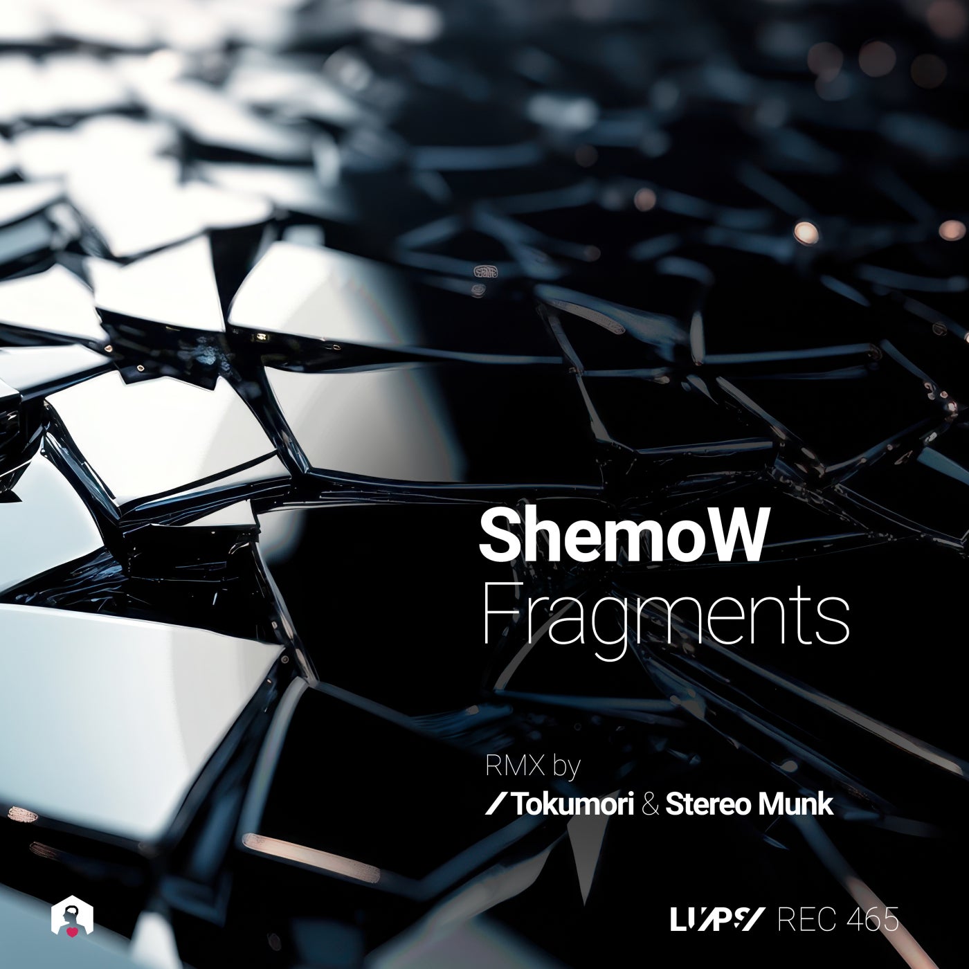 Cover - ShemoW - Fragments (Stereo Munk Remix)