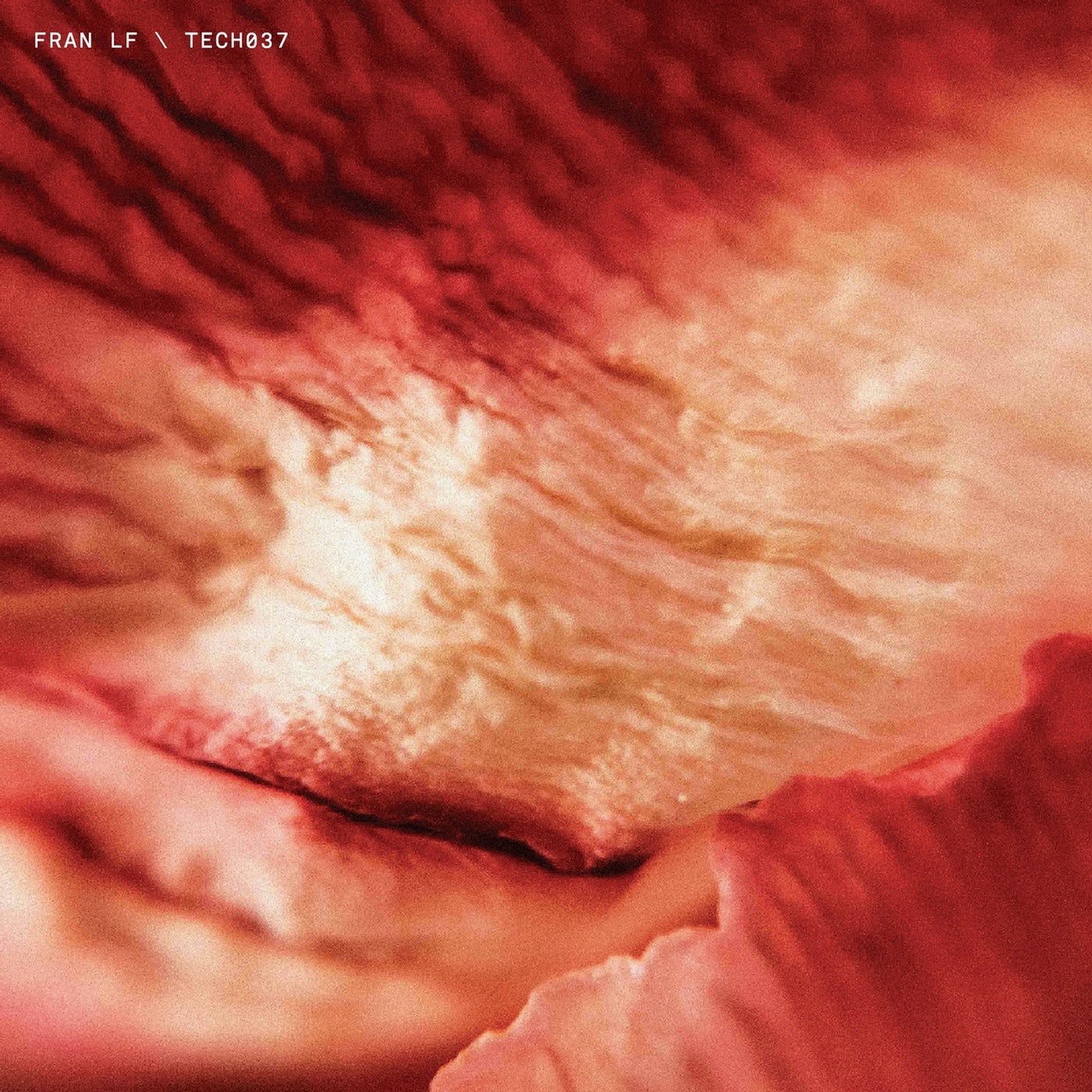 Cover - Fran LF - Tsufuru Relaxation (Original Mix)