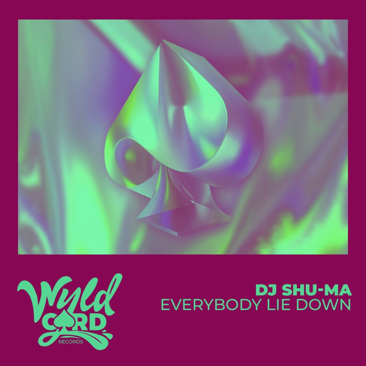 Cover - DJ Shu-ma - Everybody Lie Down (Extended Mix) Promo tools