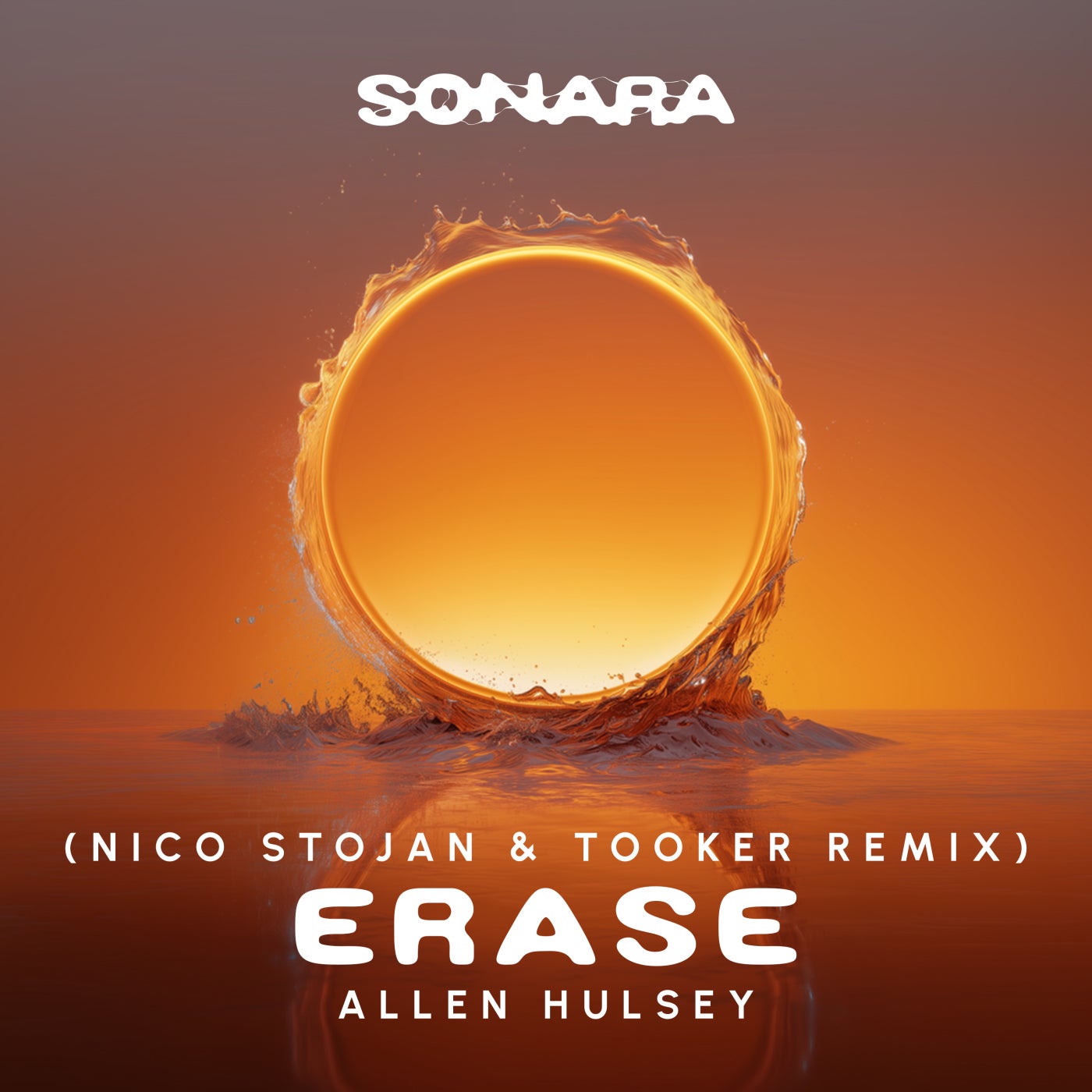 Cover - Allen Hulsey - Erase (Nico Stojan & Tooker Extended Remix)