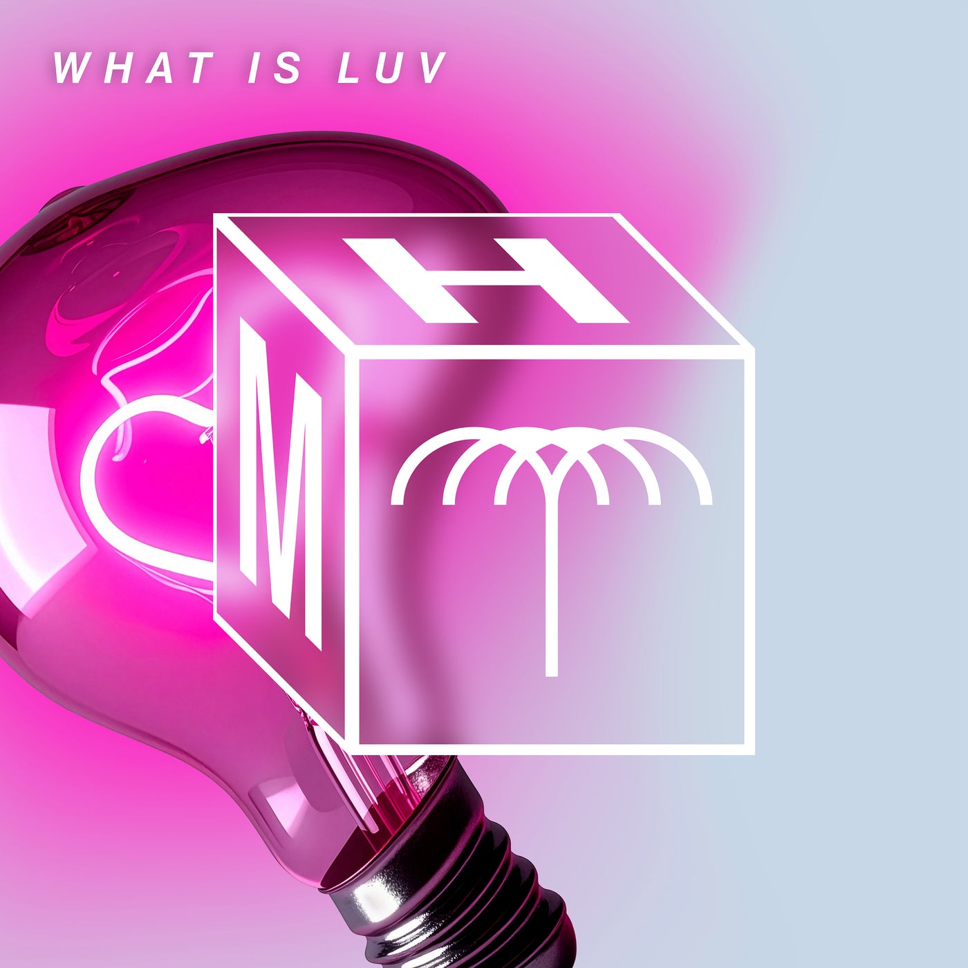 Cover - Rafael, Mita Gami - What Is Luv (Extended Mix)