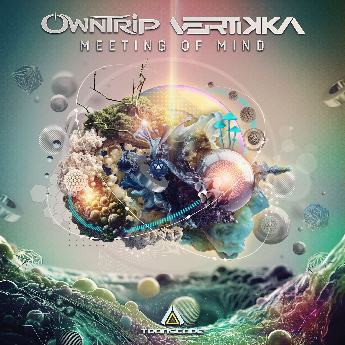 Cover - Owntrip, Vertikka - Jungle Walk (Original Mix)