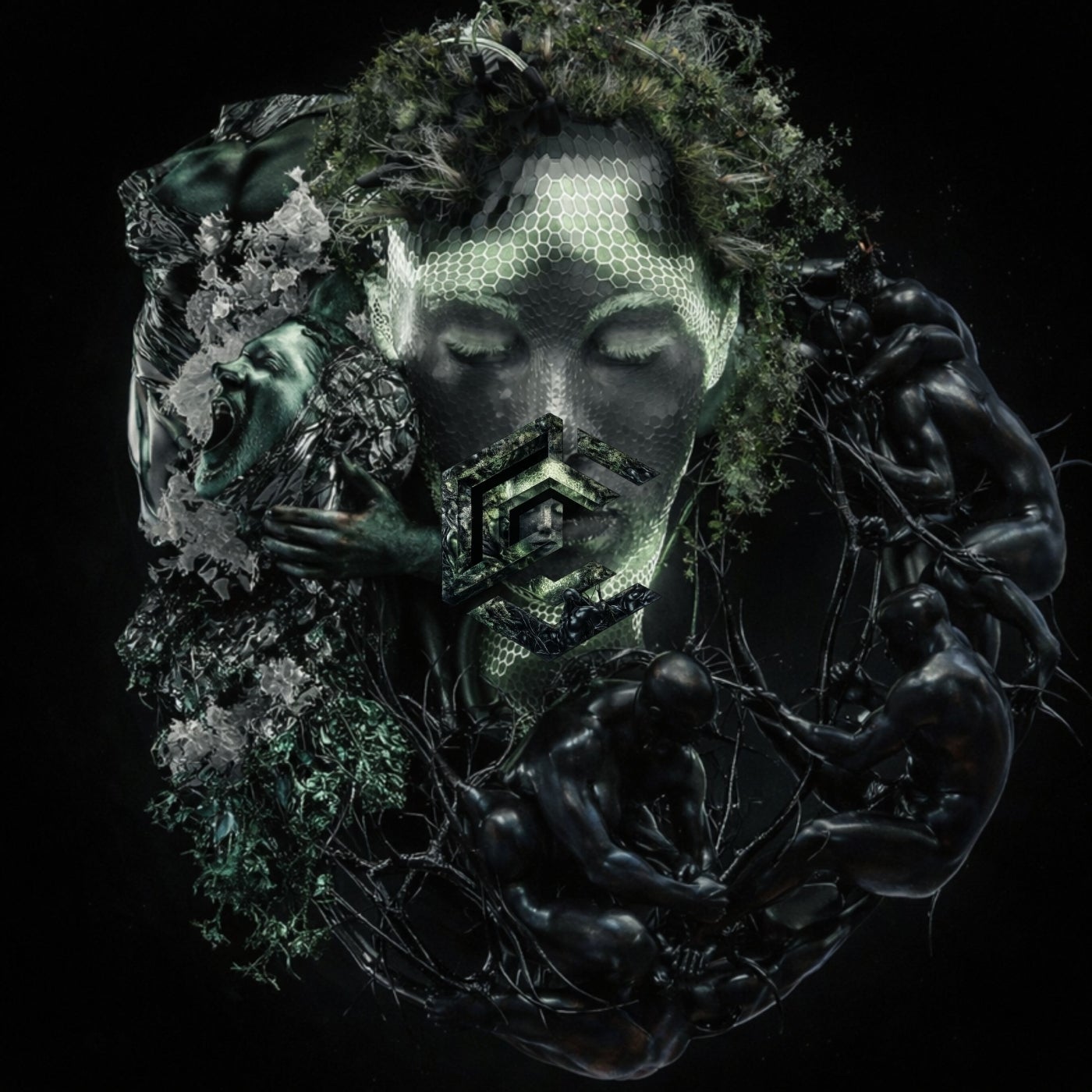 Cover - Fape - Bailame (Original Mix) Promo tools