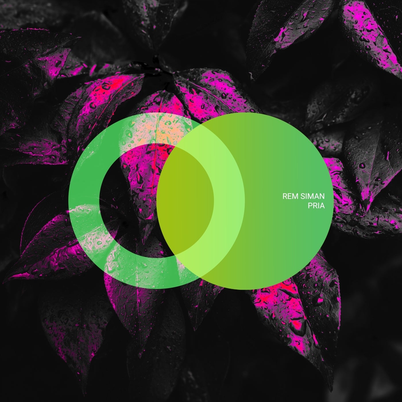 Cover - Rem Siman - Pria (Original Mix)