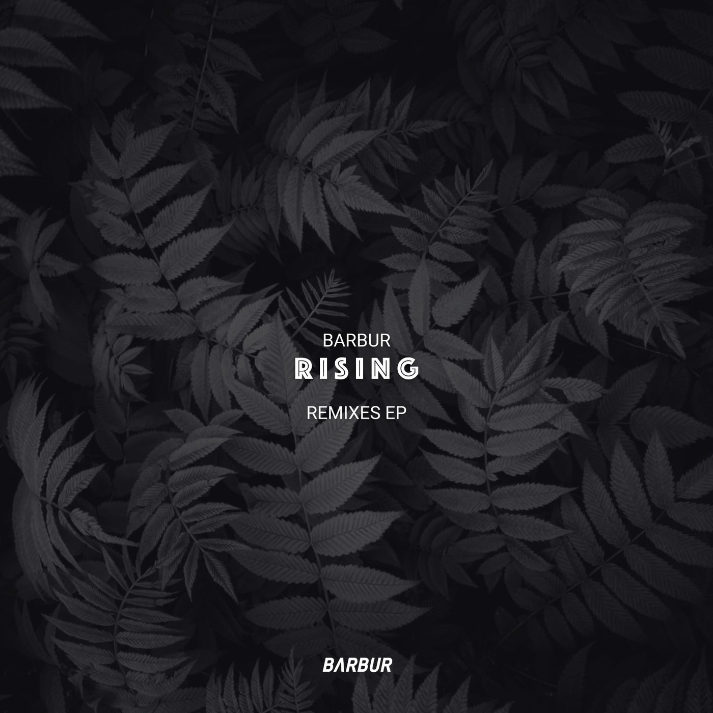 Cover - Barbur - Rising (Paul Conrad Remix)