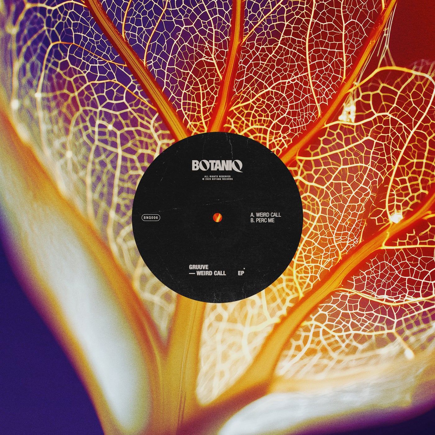 Cover - Gruuve - Weird Call (Original Mix)