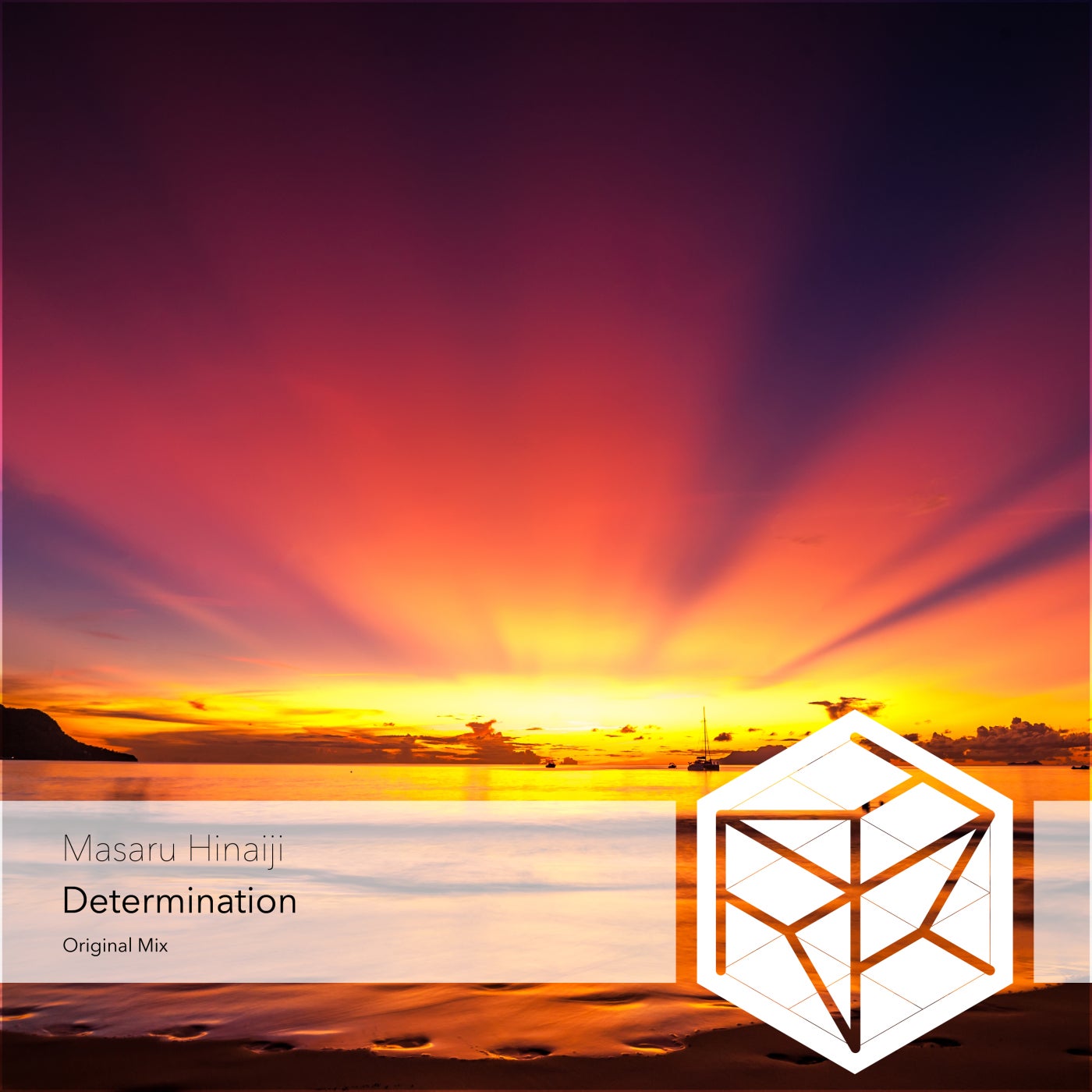 Cover - Masaru Hinaiji - Determination (Extended Mix)