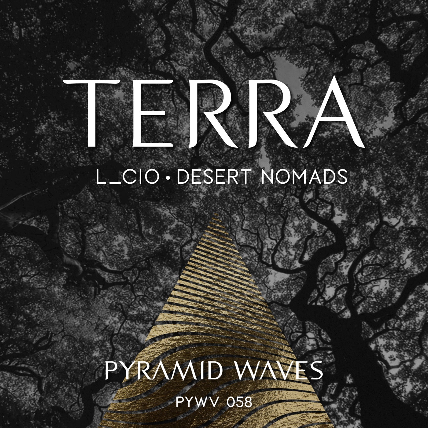 Cover - L_cio, Desert Nomads - Terra (Desert Nomads Remix)