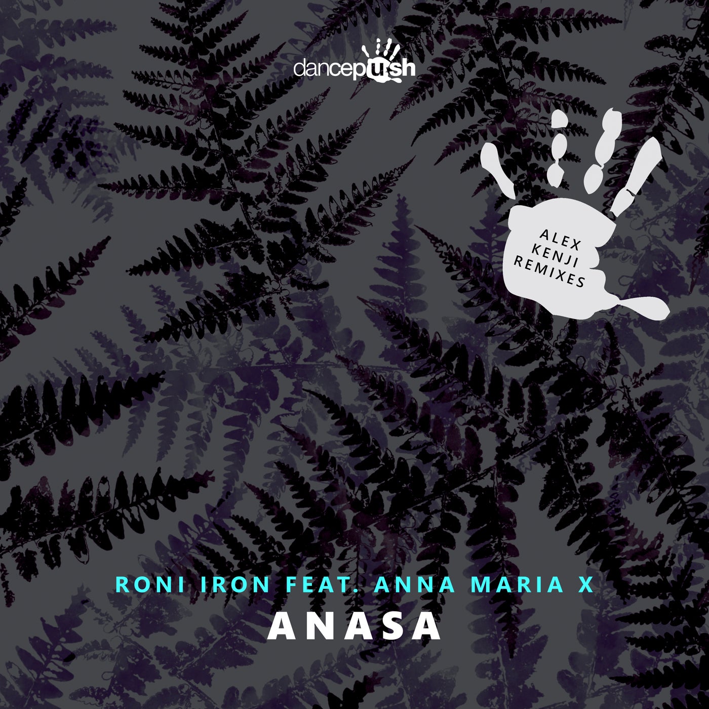 Cover - Roni Iron, Anna Maria X - Anasa (Alex Kenji Extended Mix)