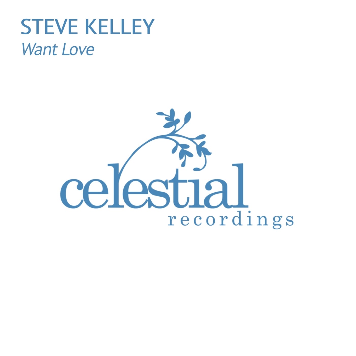 Cover - Steve Kelley - Want Love (Original Mix)