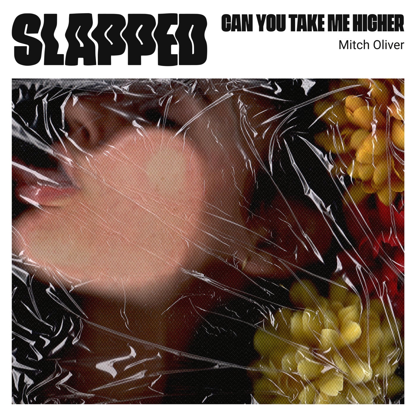 Cover - Mitch Oliver - Can You Take Me Higher (Original Mix)