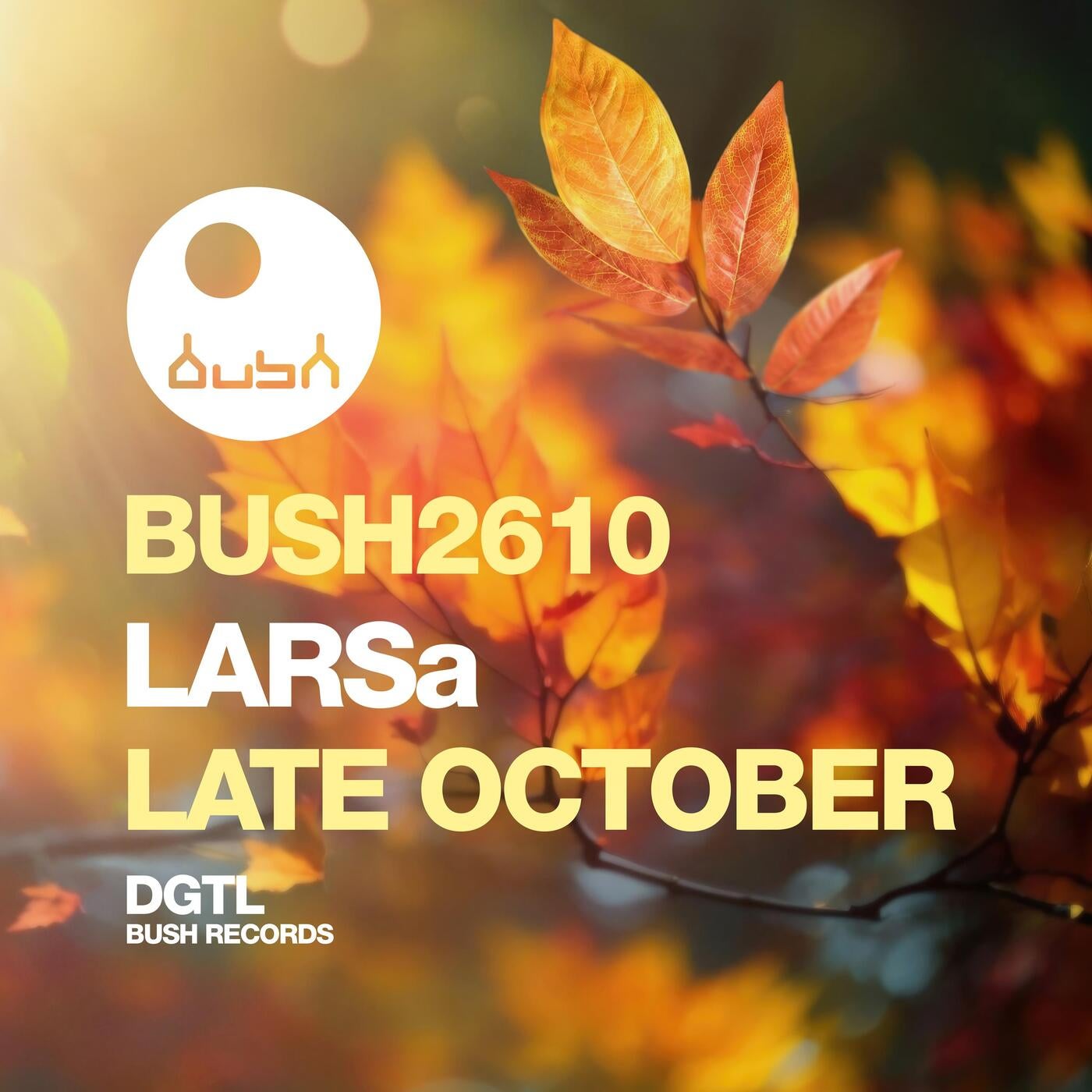 Cover - LARSa - Late October (Original Mix) Promo tools