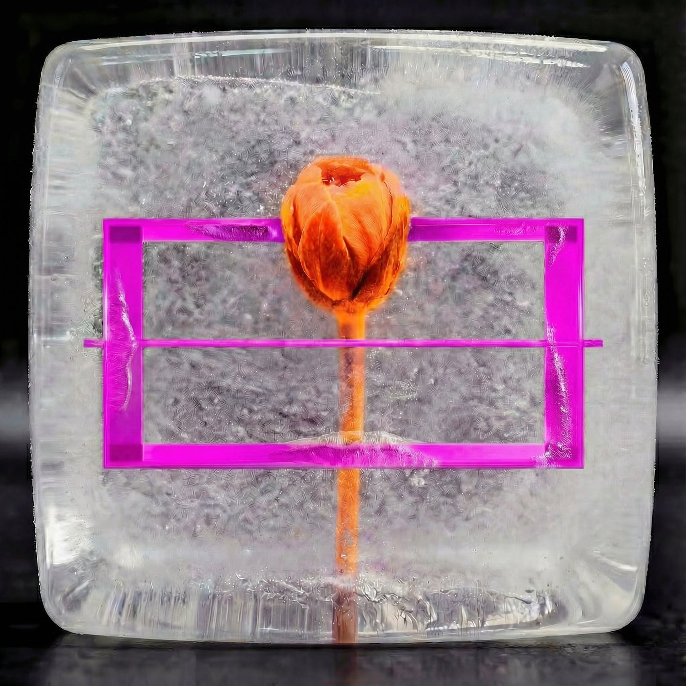 Cover - Liminal MX, Baqsy - Hallo (Original Mix)