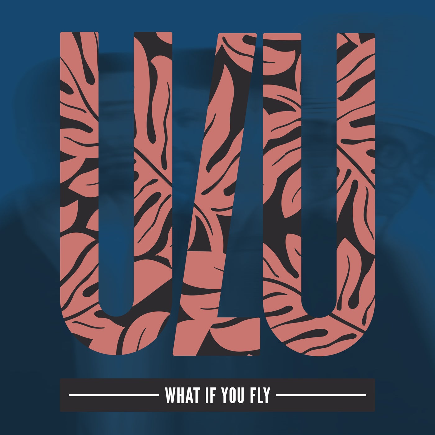 Cover - Eli Fola, Sanvero - What If You Fly (Original Mix)