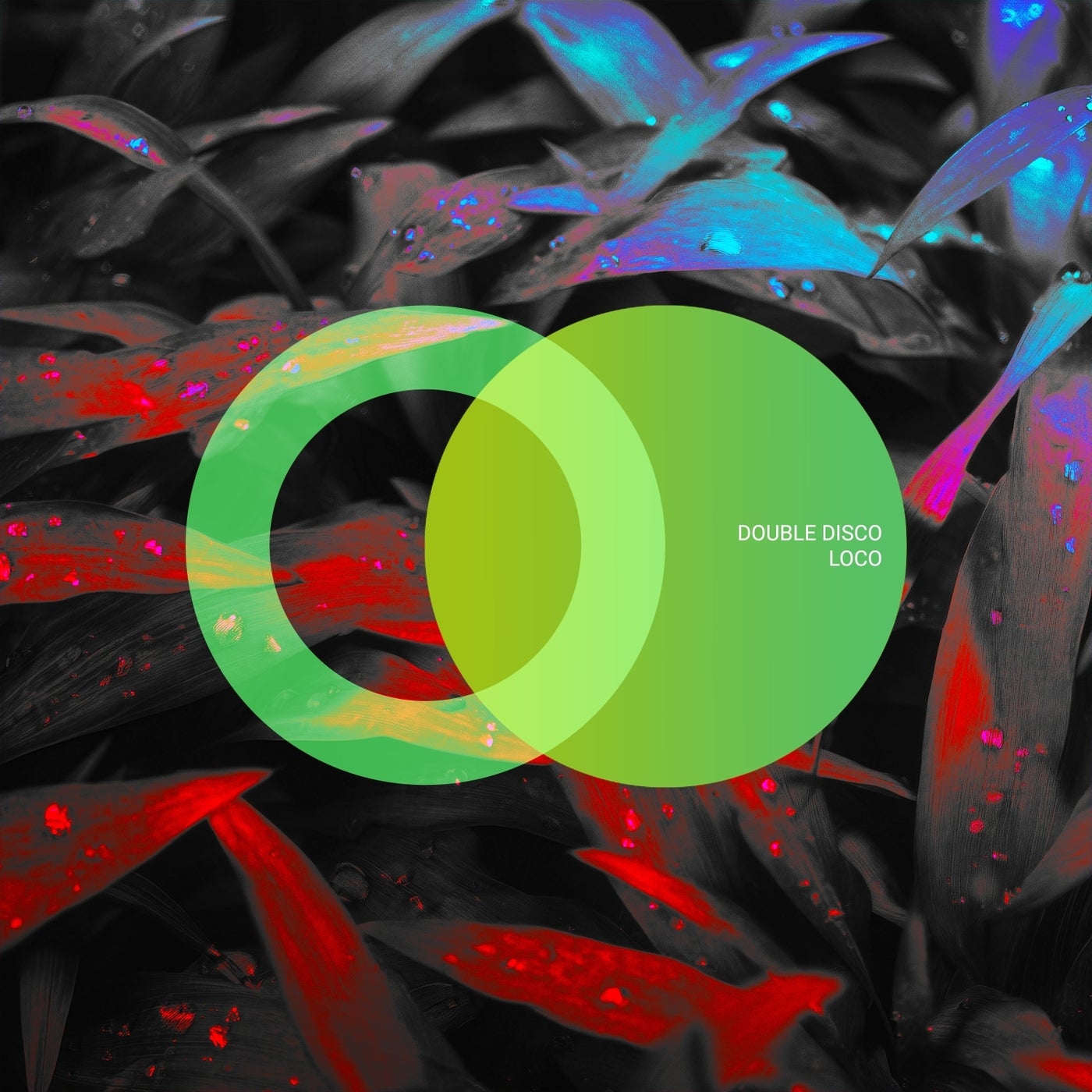 Cover - Double Disco - How It Feels (Original Mix)