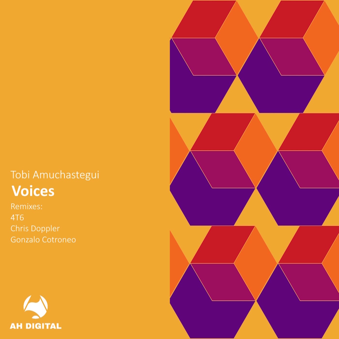 Cover - Tobi Amuchastegui - Voices (4T6 Remix)