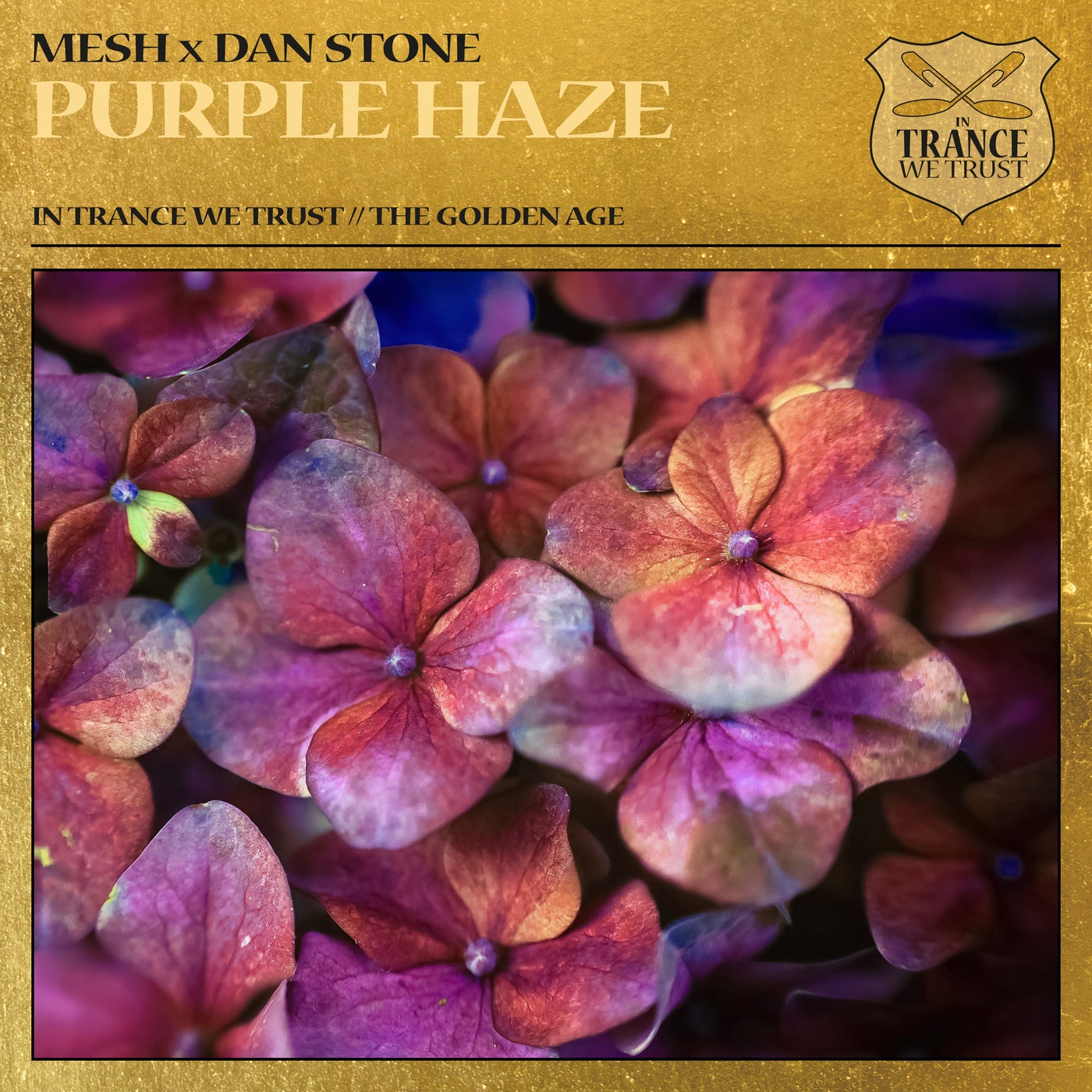Cover - Mesh, Dan Stone - Purple Haze (Extended Mix)
