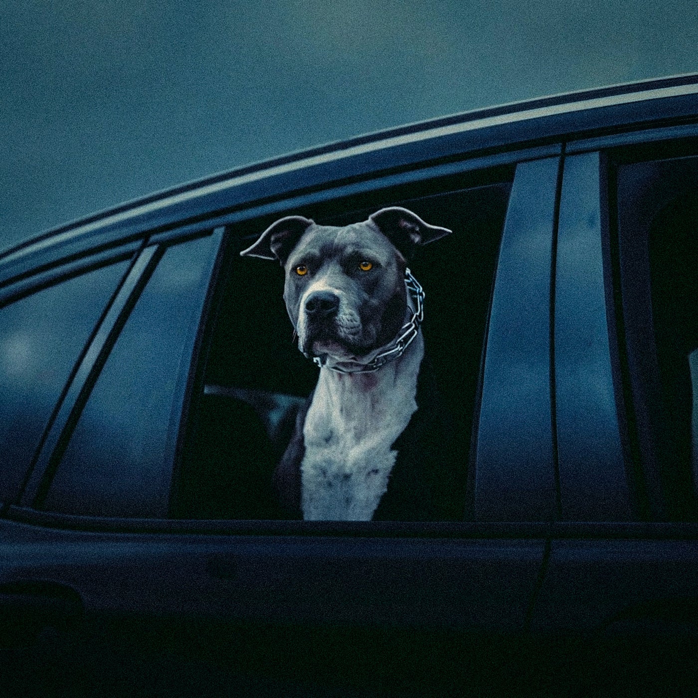 Cover - Chris Lorenzo, Kah-lo - In This Bih' (Extended Mix)