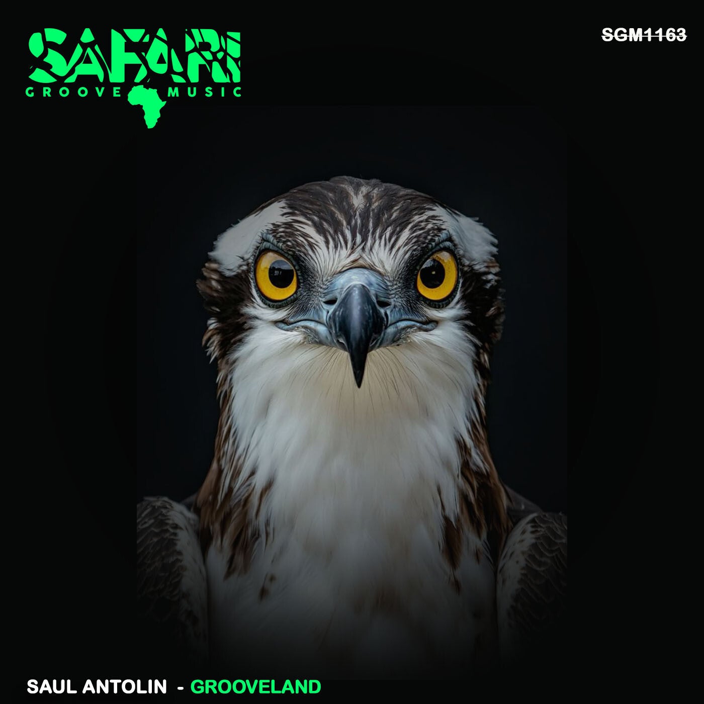 Cover - Saul Antolin - La Loca (Original Mix)