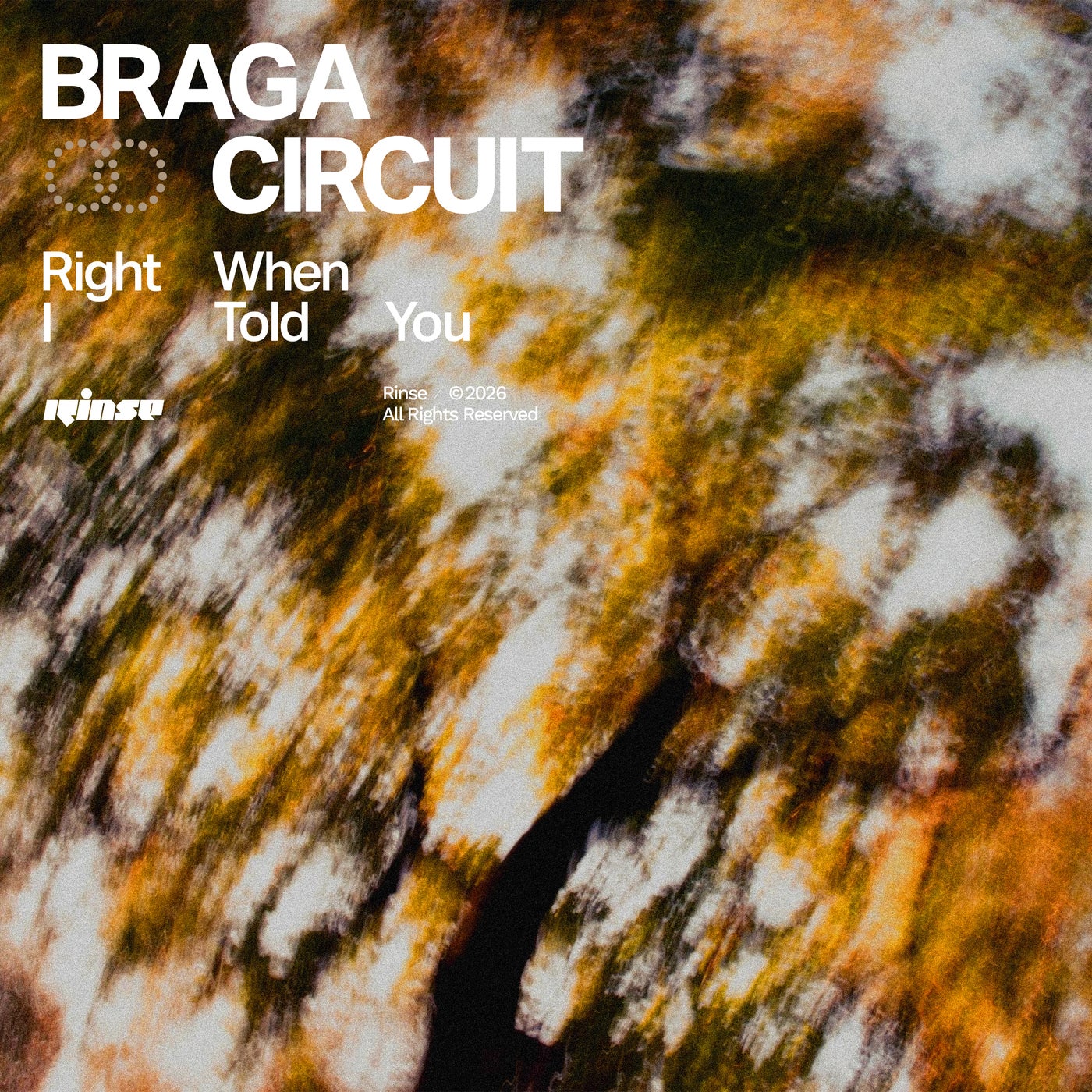 Cover - Braga Circuit - Right When I Told You (Original Mix) Promo tools