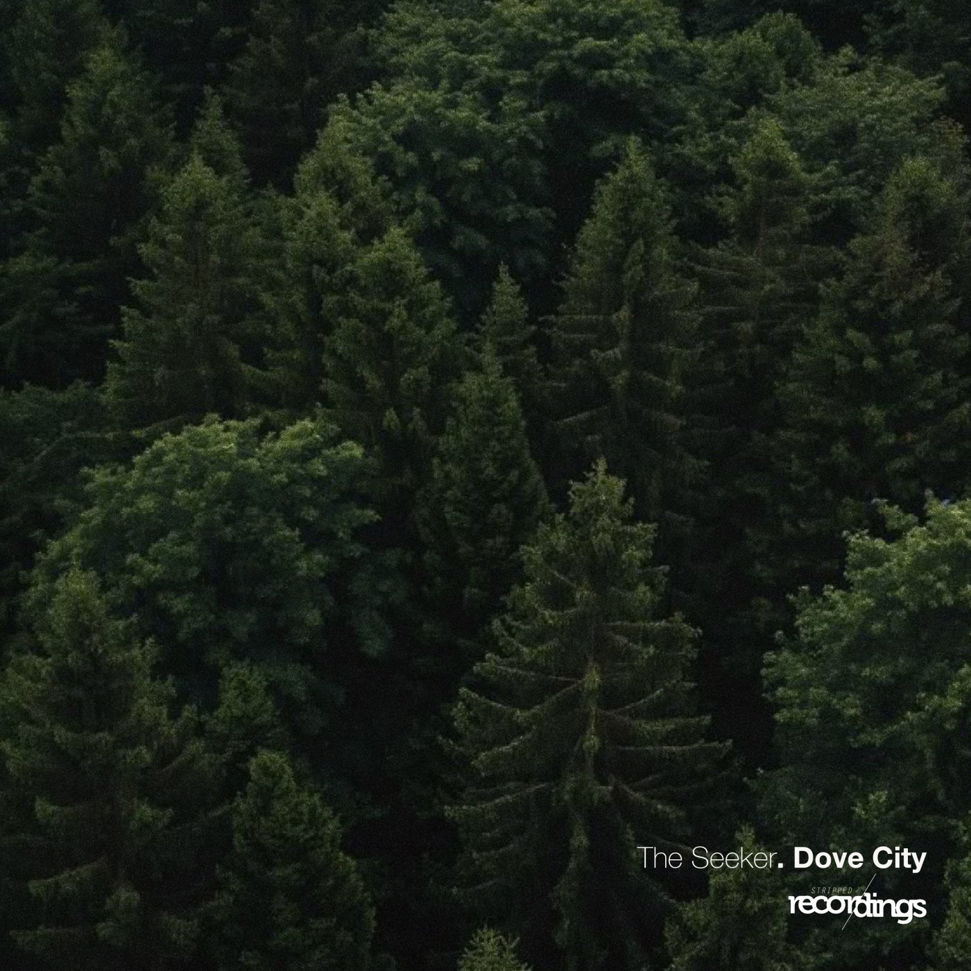 Cover - Dove City - The Seeker (Original Vocal Mix) Promo tools