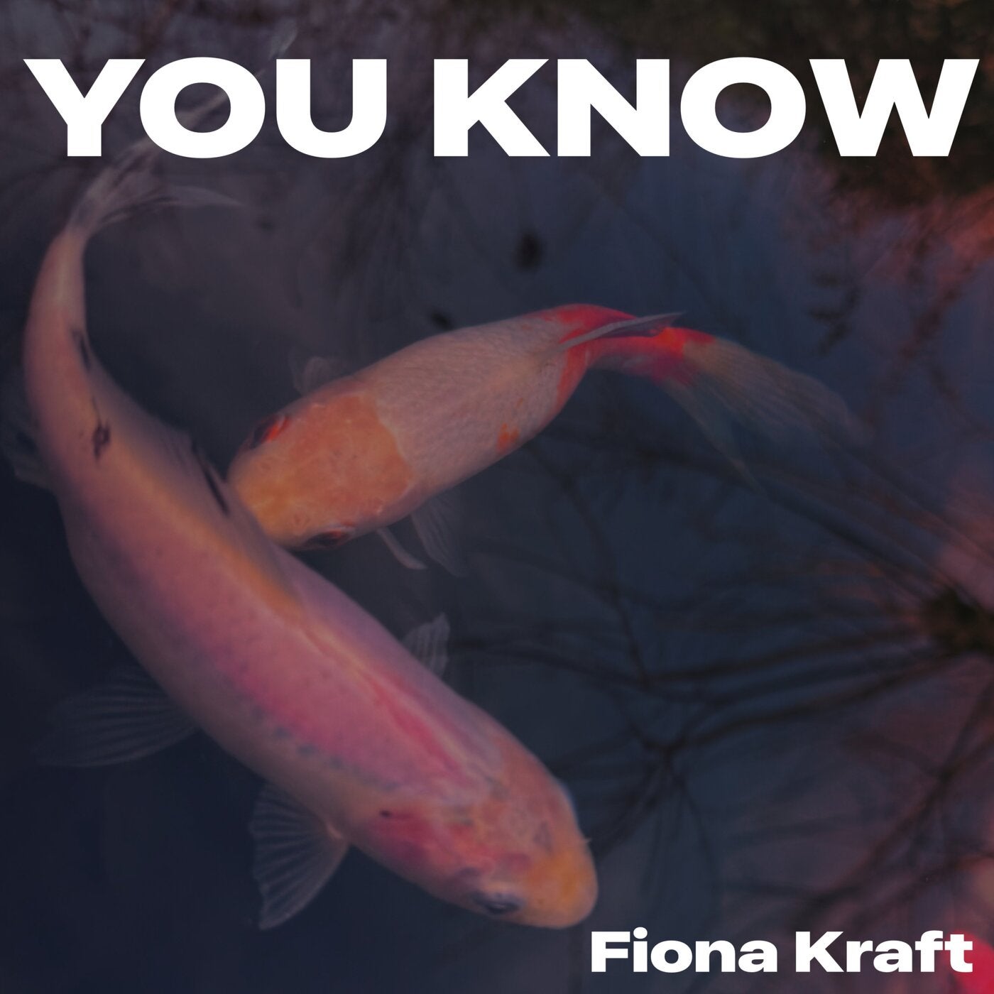 Cover - Fiona Kraft - You know (Original Mix)