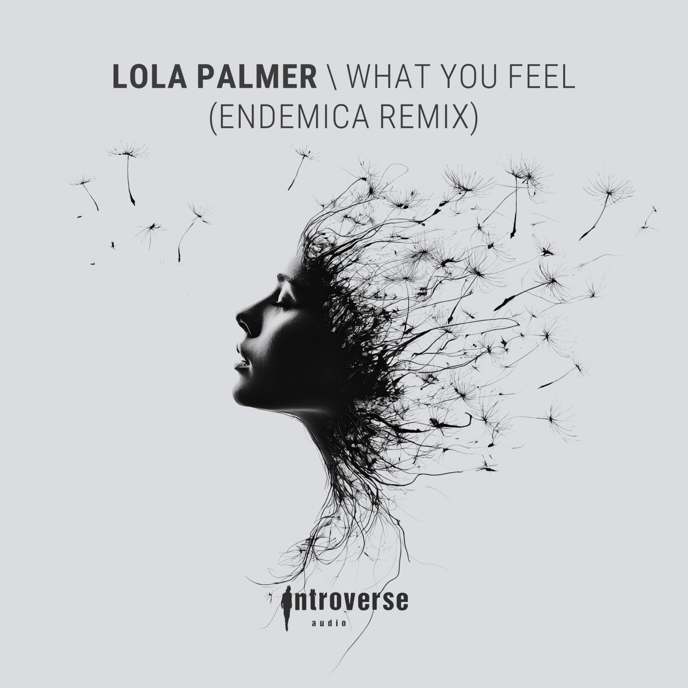 Cover - Lola Palmer - What You Feel (Endemica Remix)
