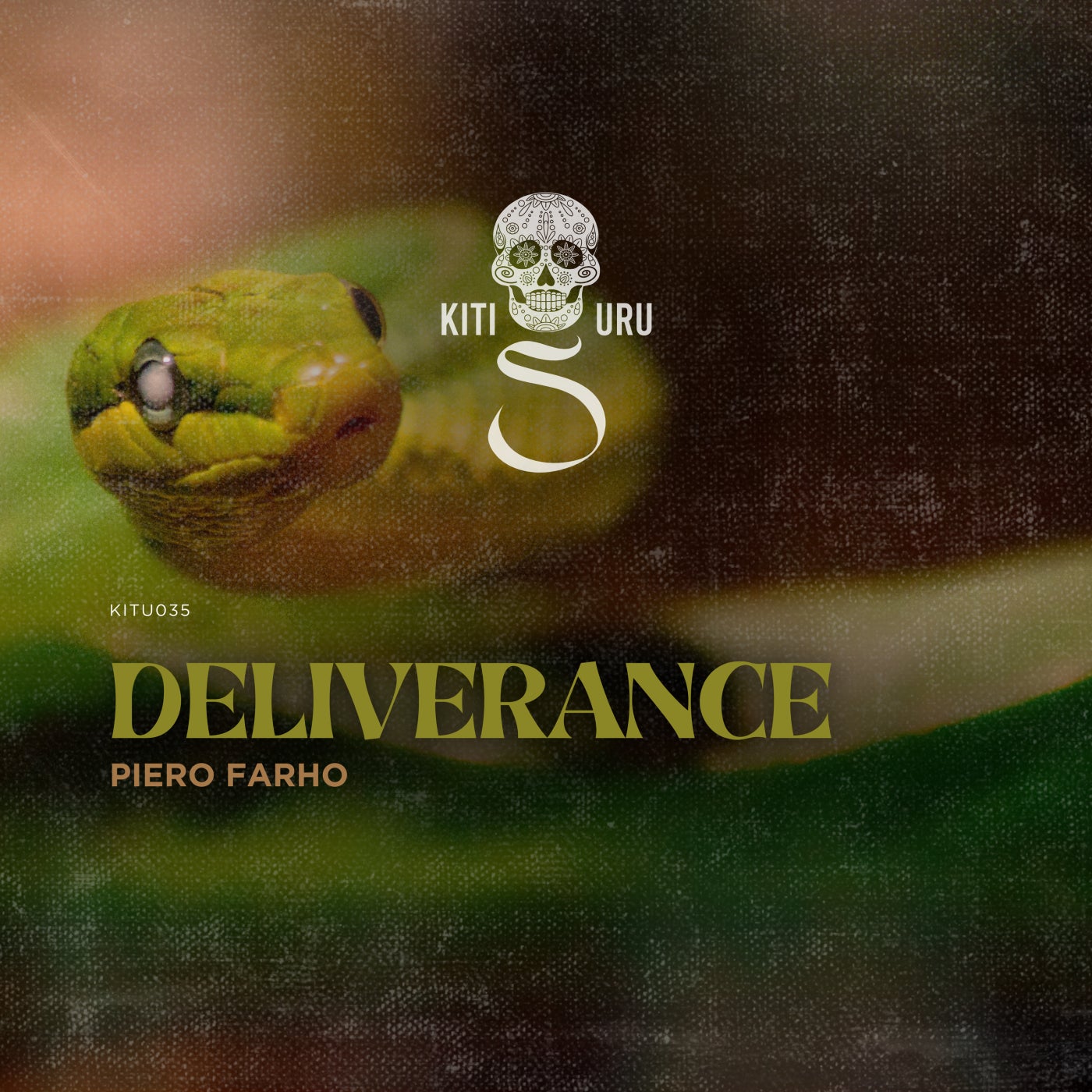 Cover - Piero Farho - Deliverance (Extended Mix)