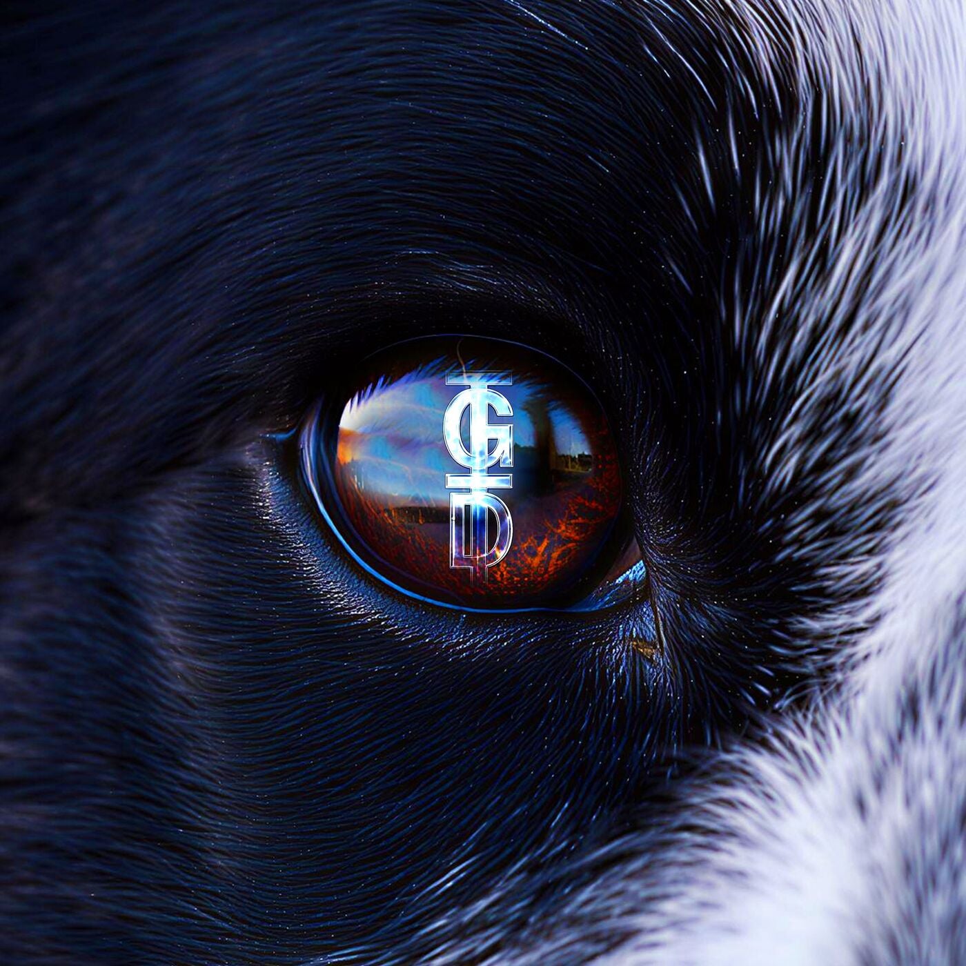 Cover - ANII - JACK (Original Mix) Promo tools