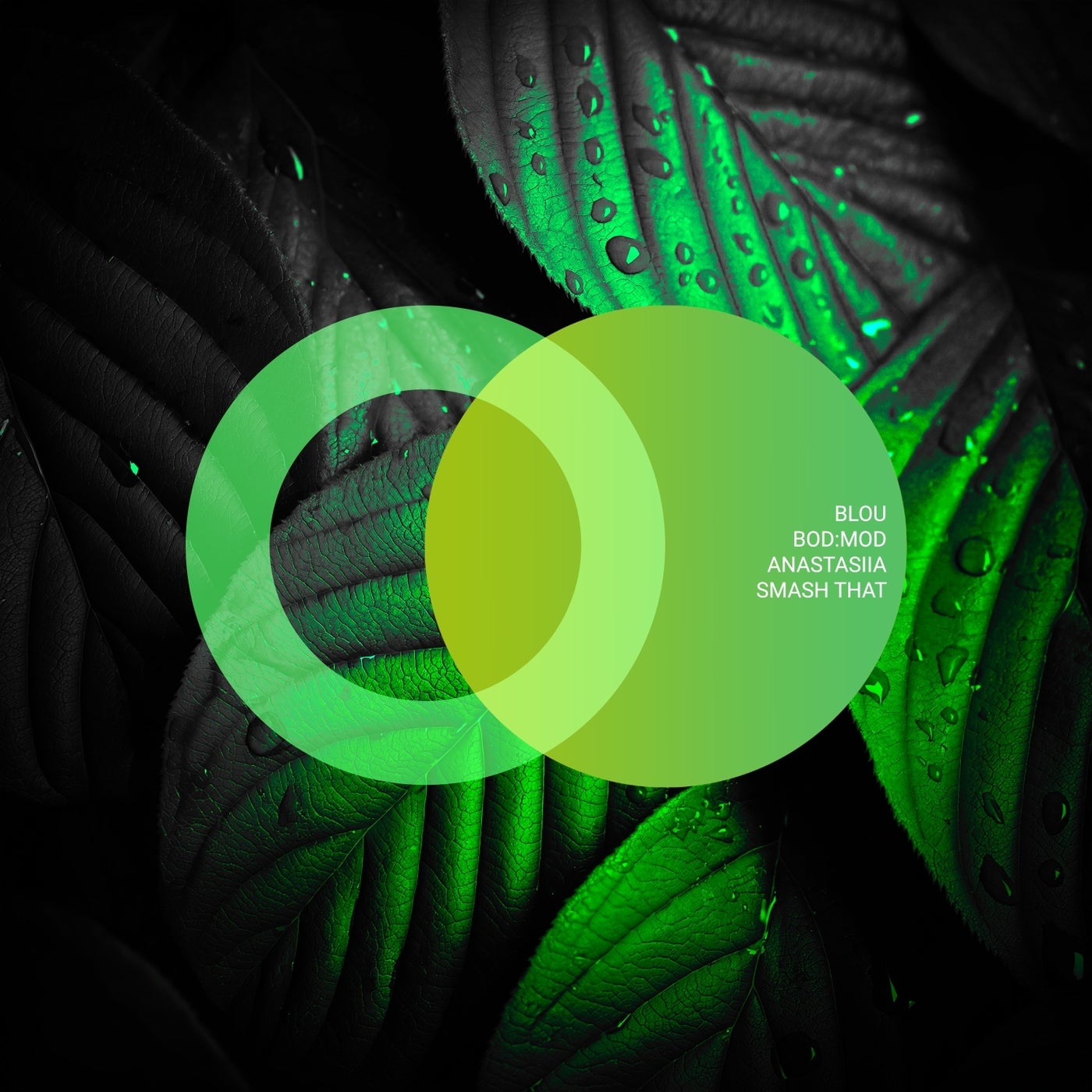 Cover - ANASTASiiA, bod:mod, blou. - Smash That (Original Mix)