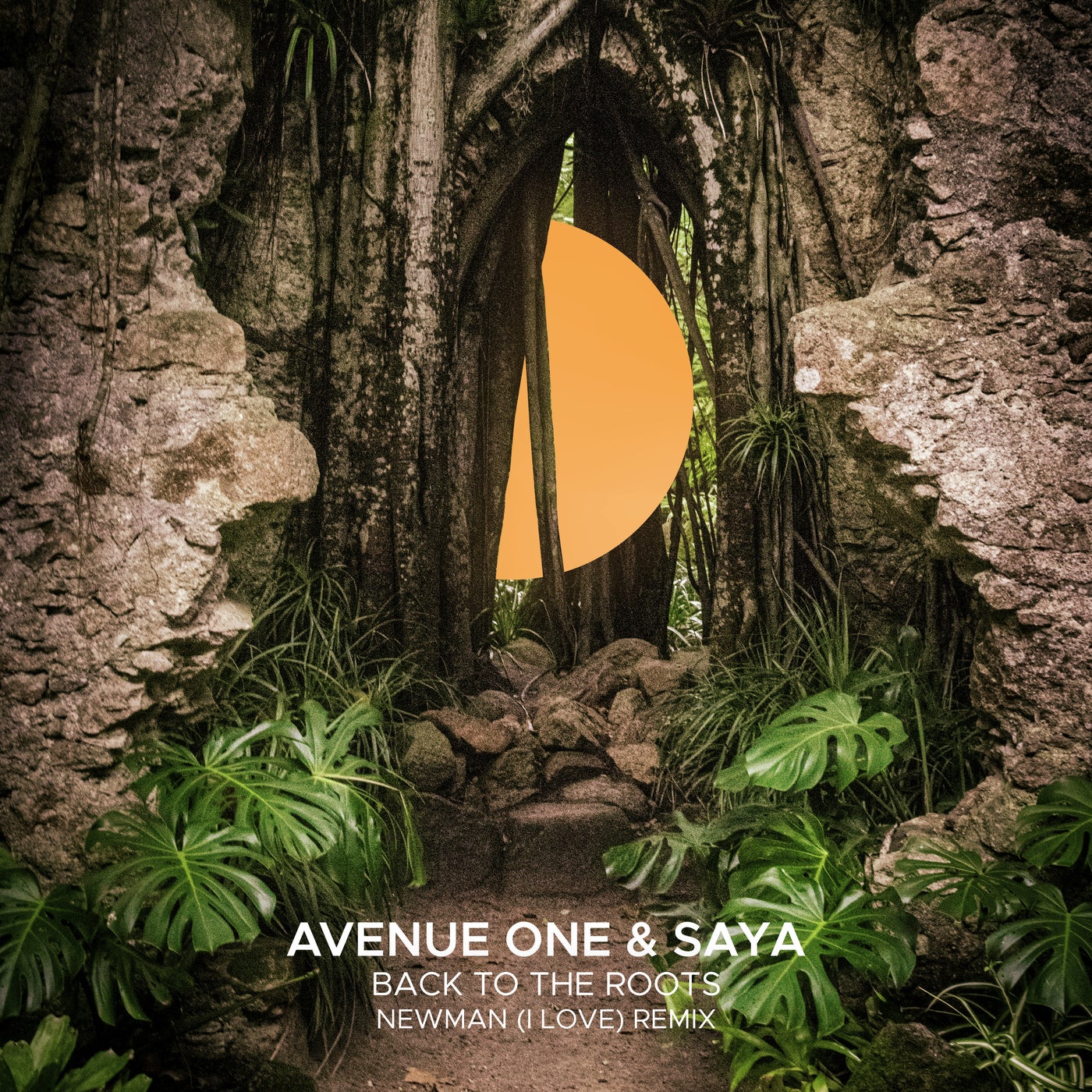 Cover - Avenue One, Saya (CA) - Back To The Roots (Newman (I Love) Extended Remix) (Newman (I Love)