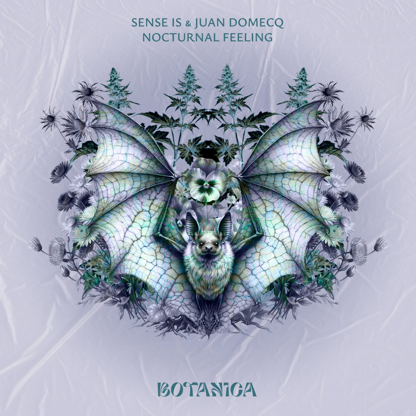 Cover - Juan Domecq, Sense IS - Nocturnal Feeling (Original Mix)