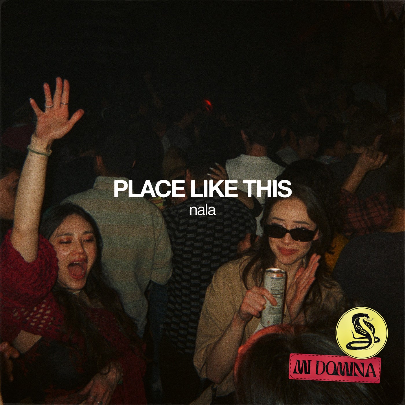 Cover - Nala - Place Like This (Extended Mix)