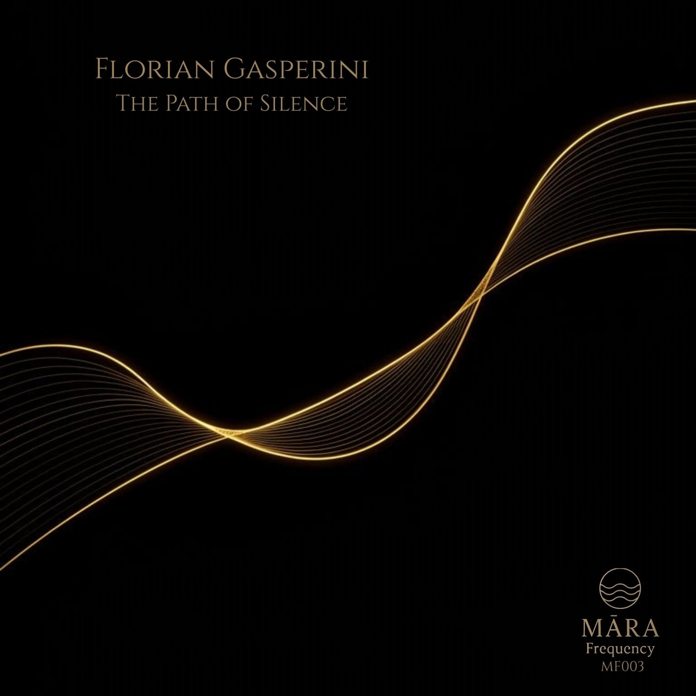 Cover - Florian Gasperini - Silent Companion (Original Mix) Promo tools