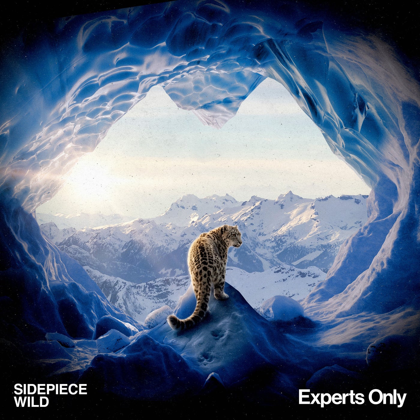 Cover - SIDEPIECE - Wild (Extended Mix)