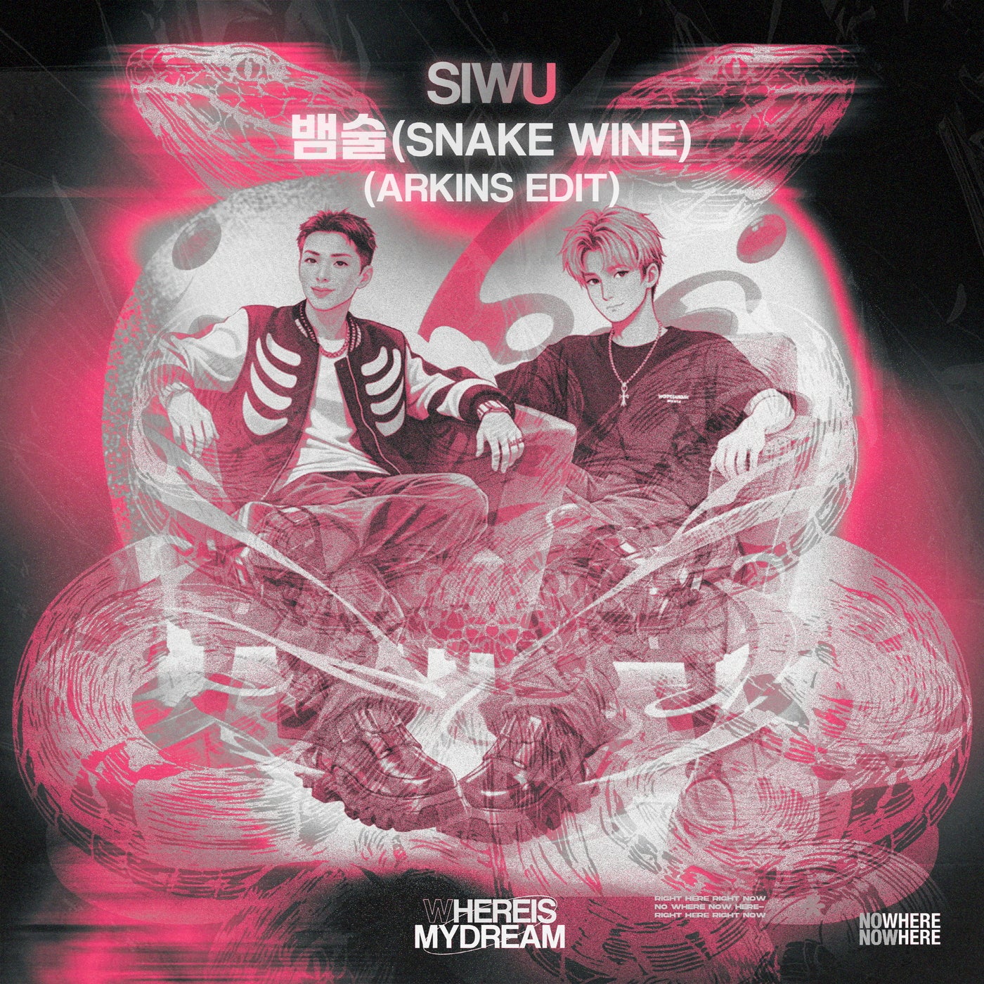 Cover - Arkins, SIWU - Snake Wine (Arkins Edit)