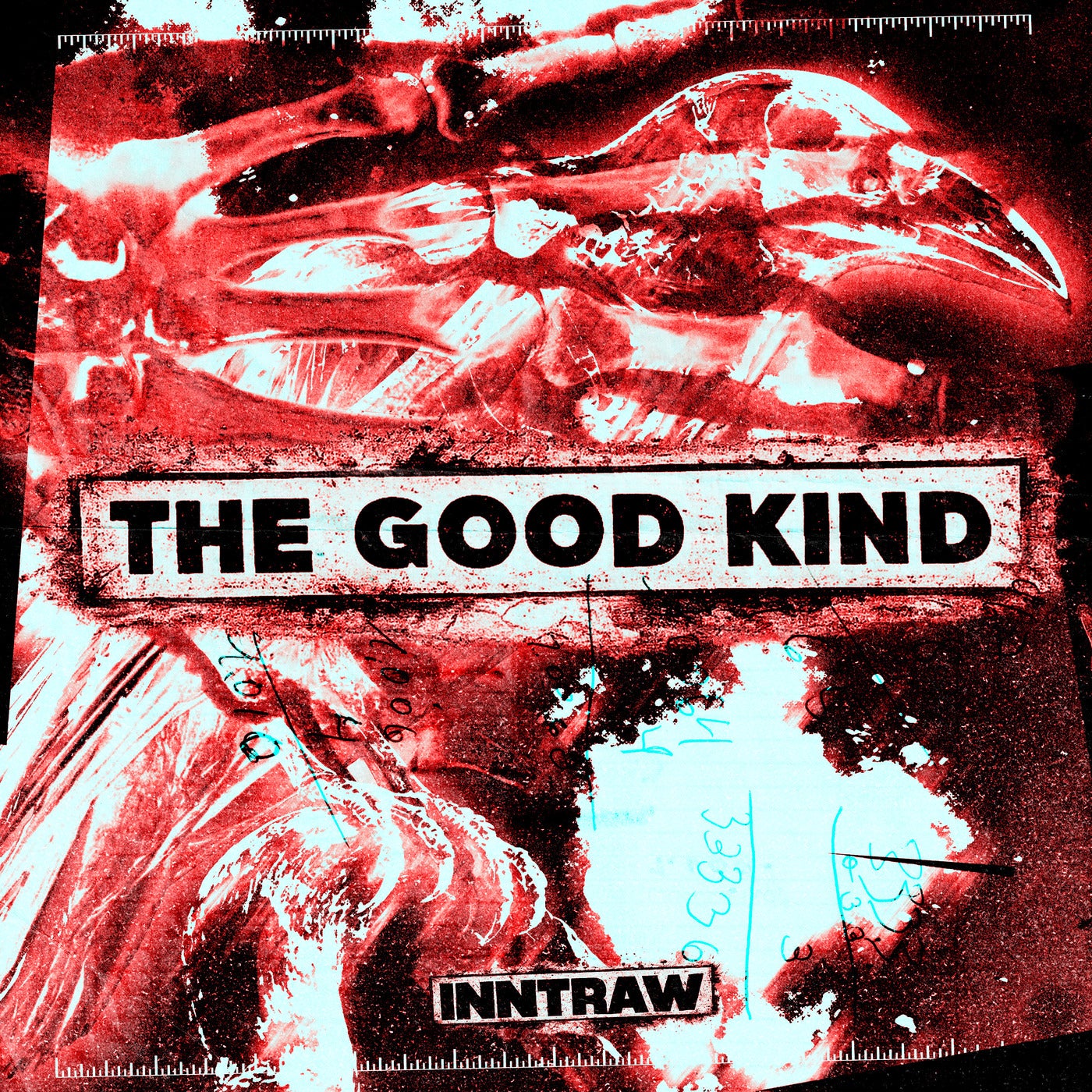 Cover - InntRaw - The Good Kind (Extended)