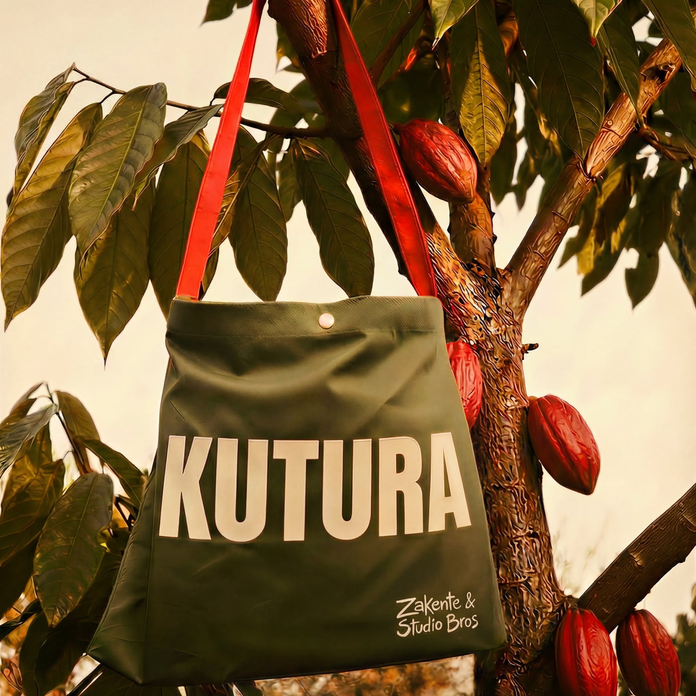 Cover - Studio Bros, Zakente - Kutura (Original Mix)