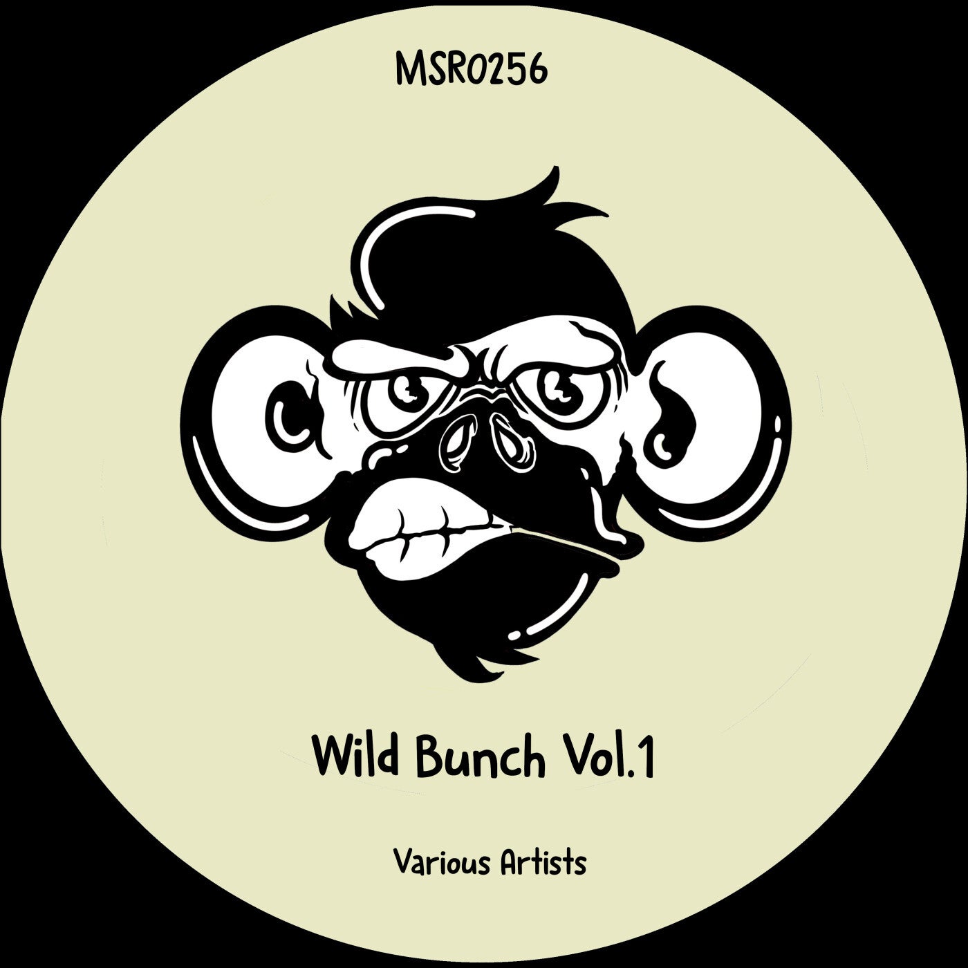 Cover - Esteban Villacis - After Party (Original Mix) Promo tools