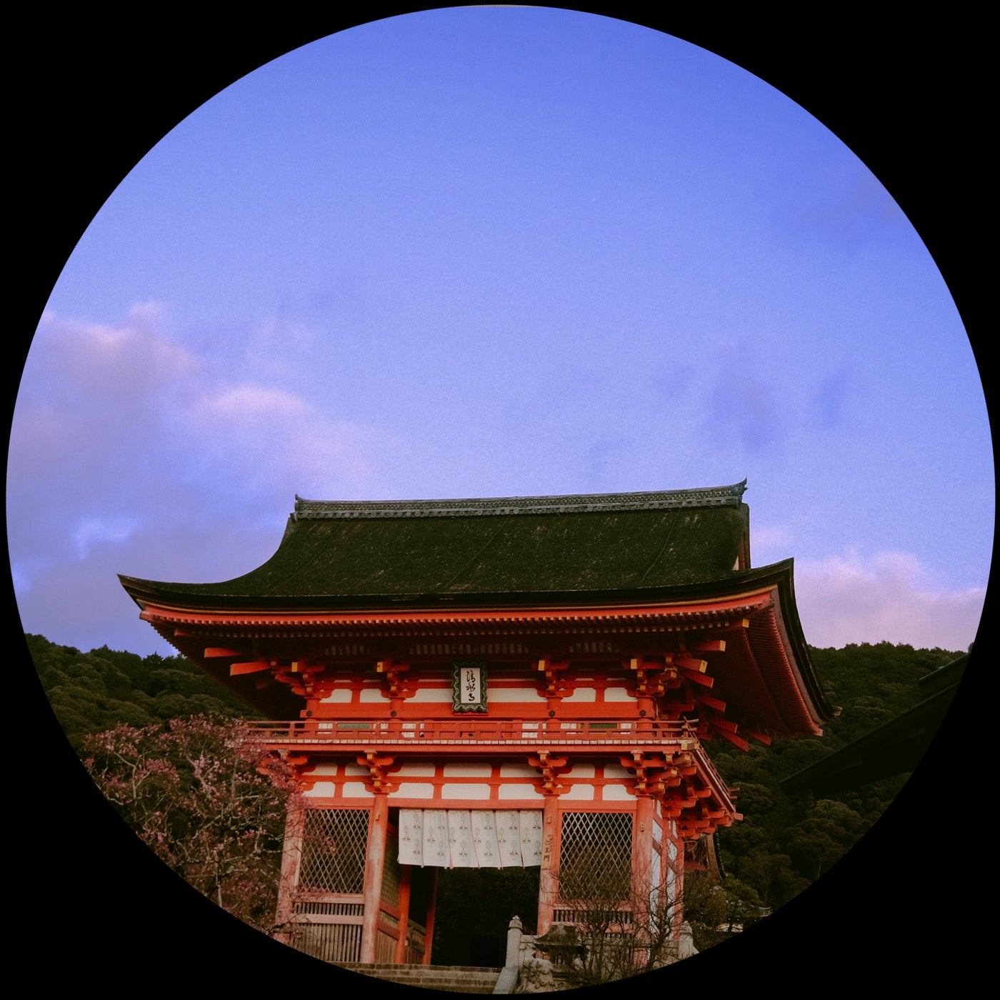 Cover - H.K. - Sono Unica (Original Mix)